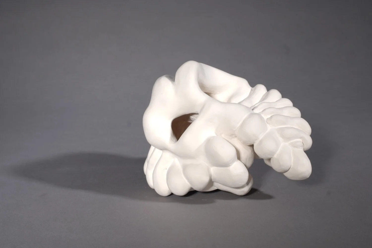 bone+series+3.jpg
