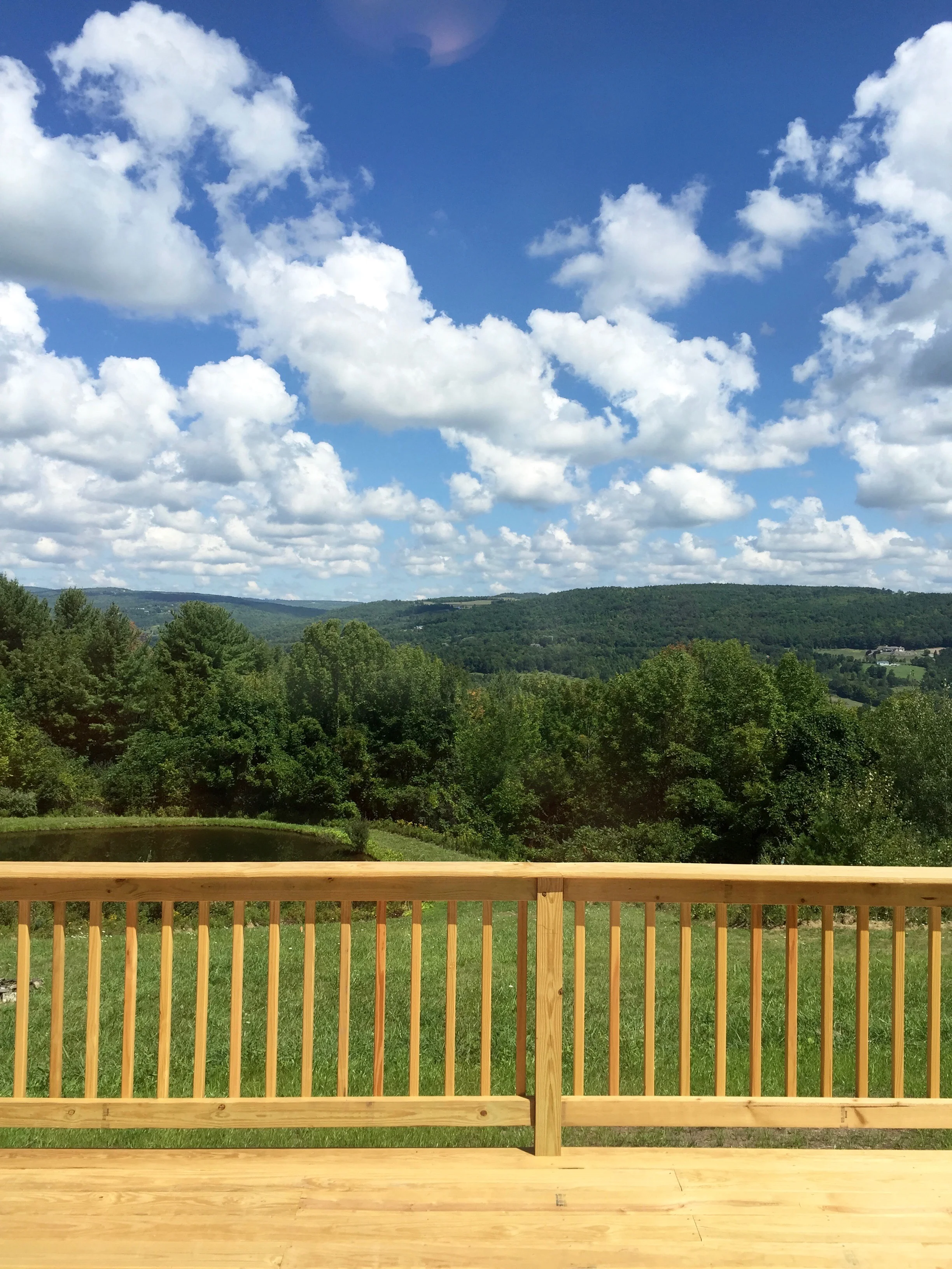 Laundry Room with a View