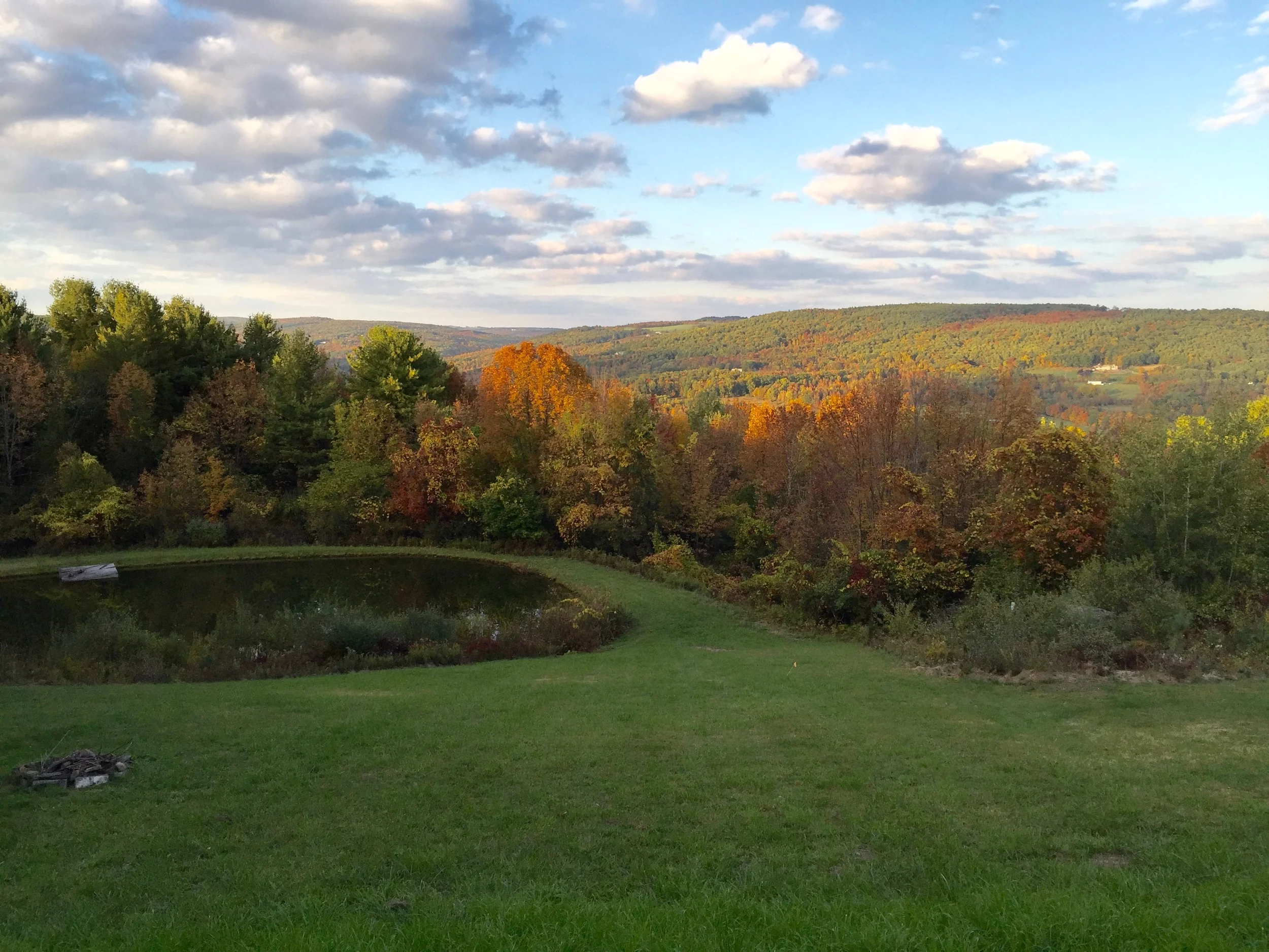 Fall