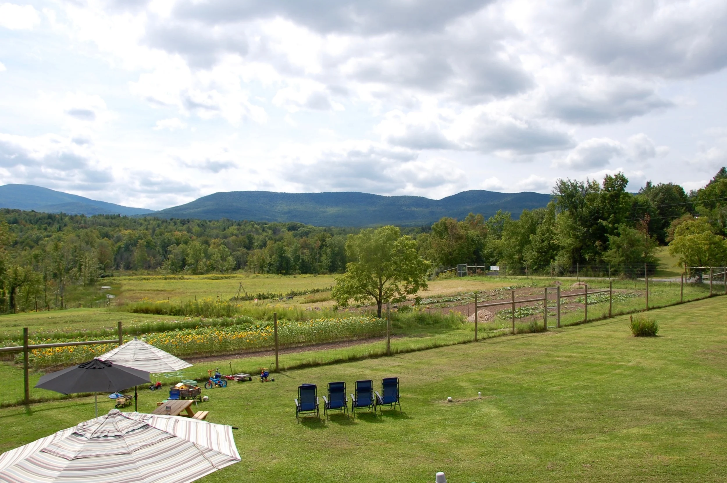 DSC_0668.jpg