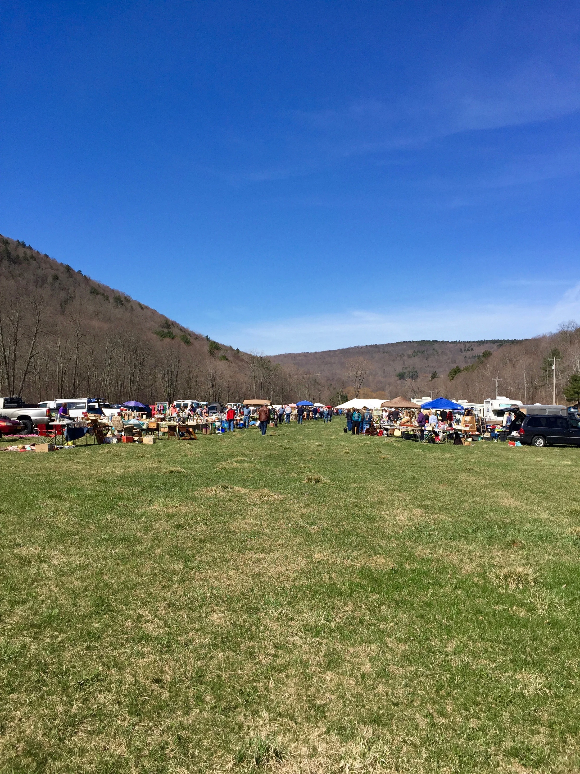 Livingstonville Flea Market: An Old-School, Hipster-Free Flea