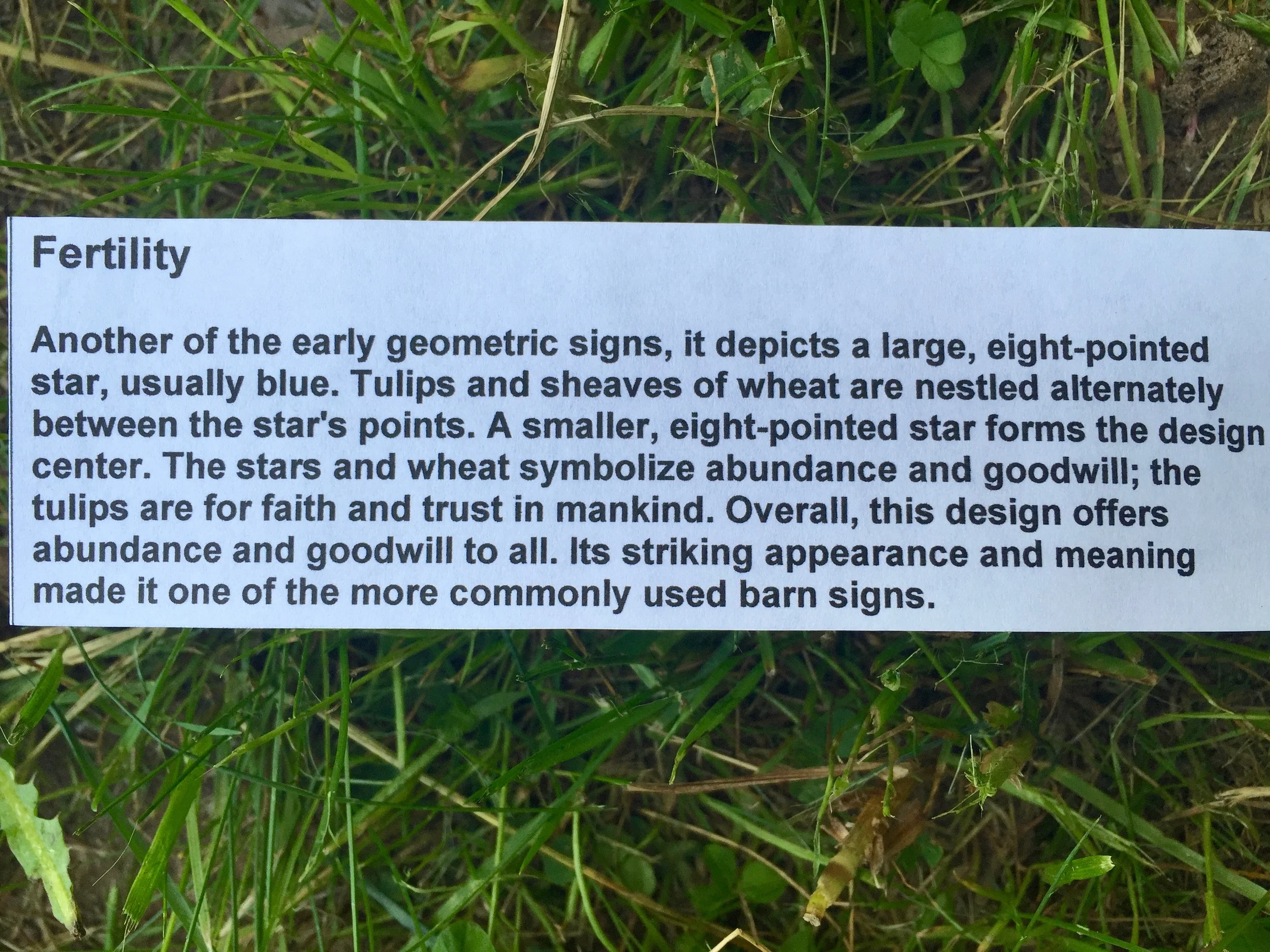 Fertility Hex Sign