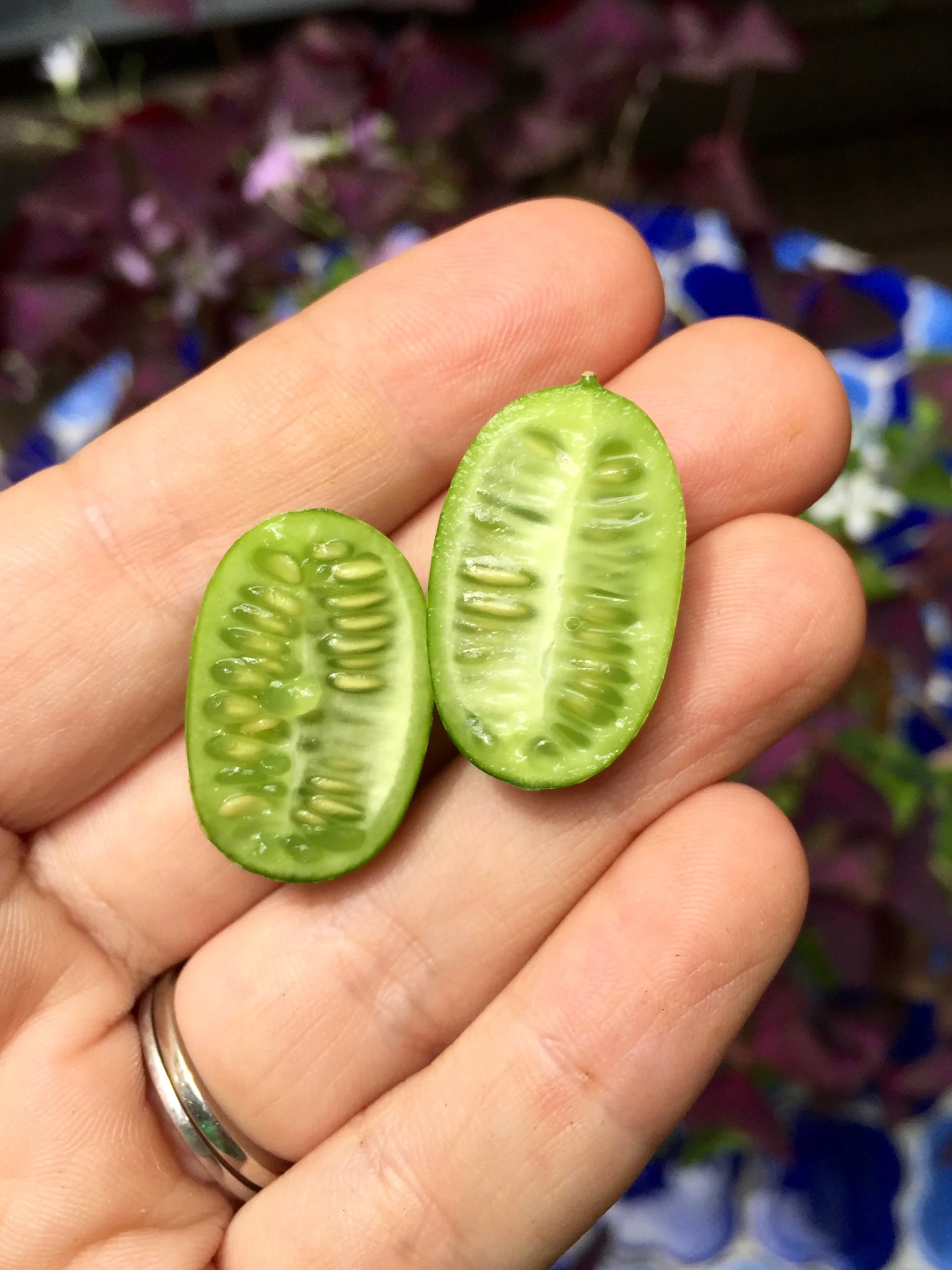 Cucamelons: Discovering the World's Cutest Veggie