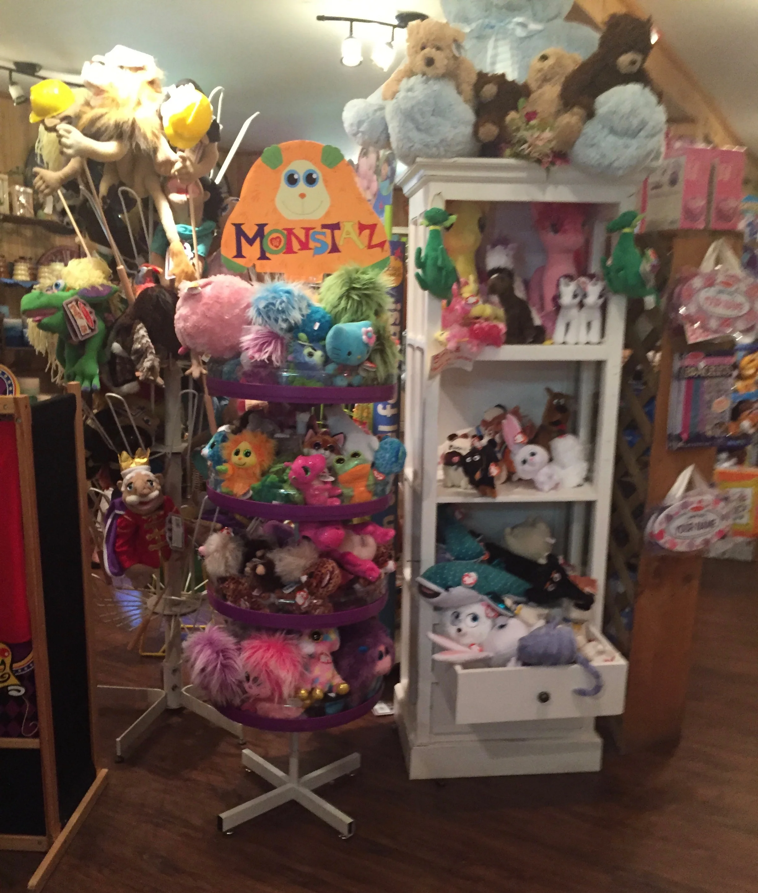 Catskill Mountain Country Store A Child's Paradise — Brooklyn DoubleWide