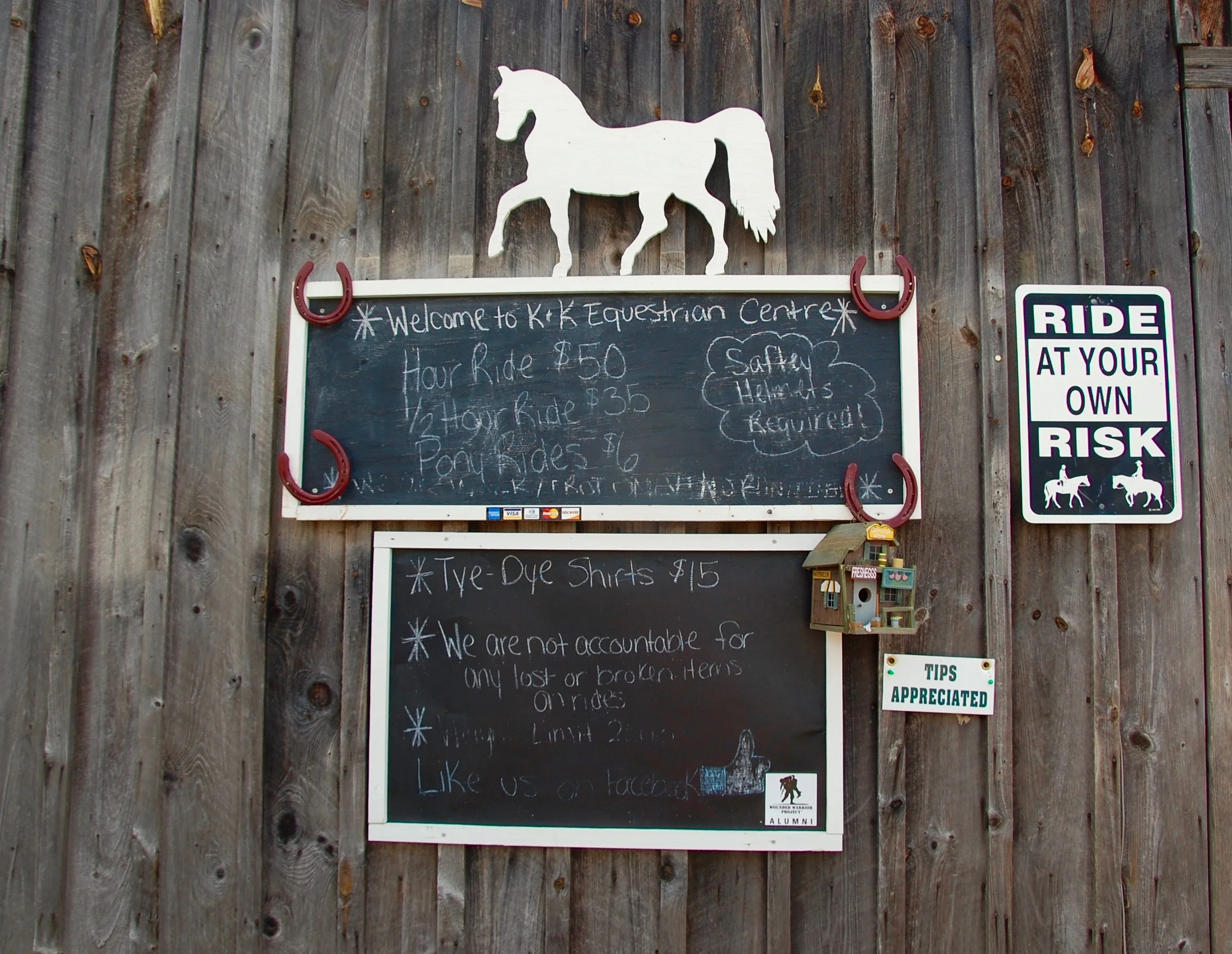 catskills horseback riding