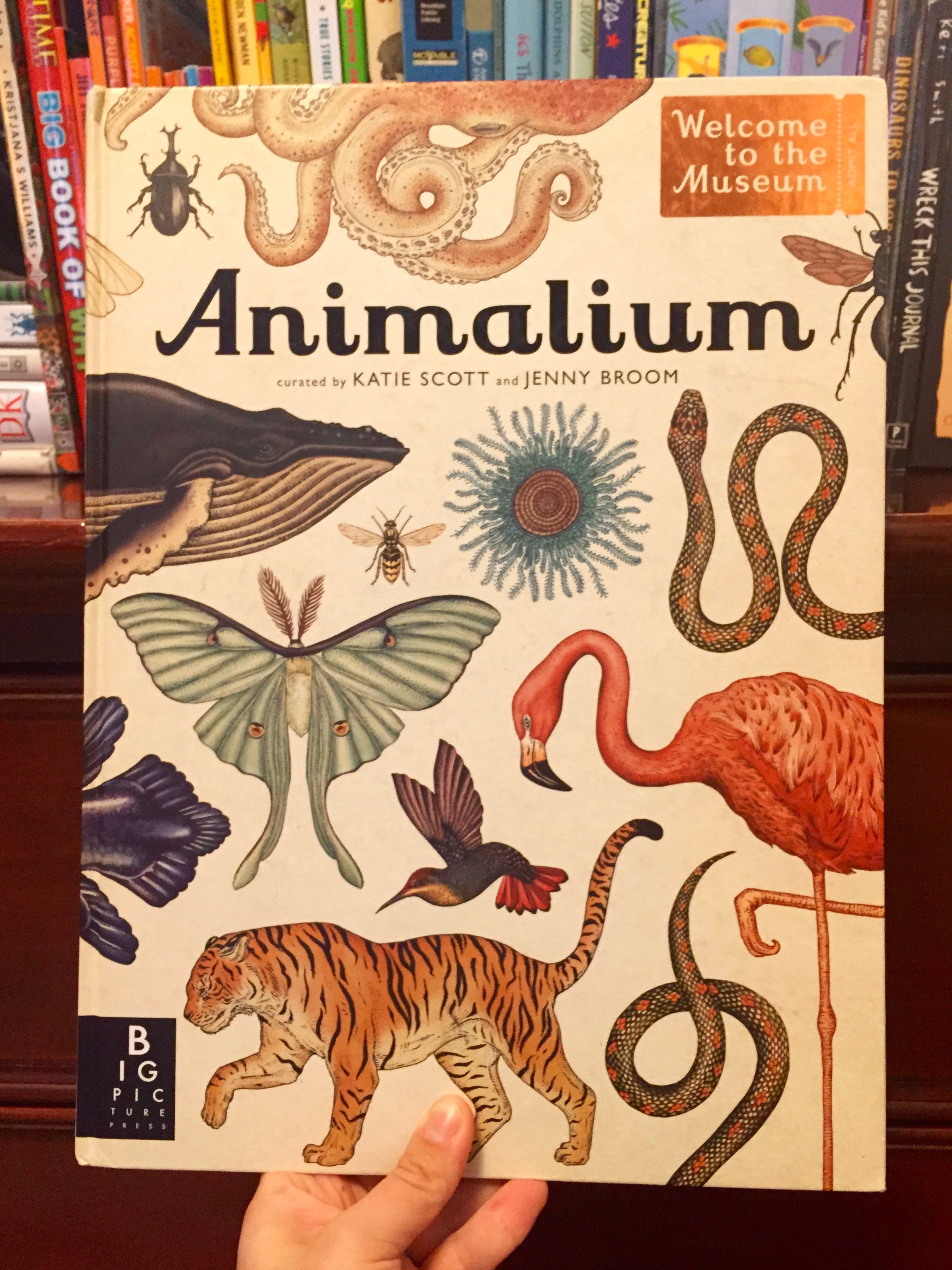 The Best Animal Books for Kids: Archer's Top 5 Picks — Brooklyn DoubleWide