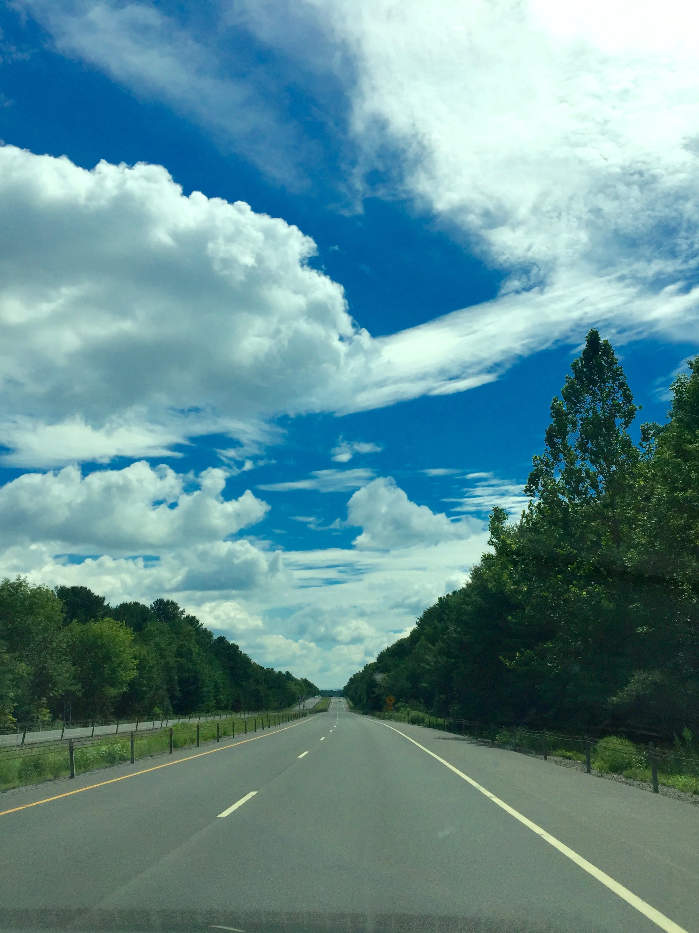 Northern Catskills Calendar 2017 Spring Summer Brooklyn DoubleWide