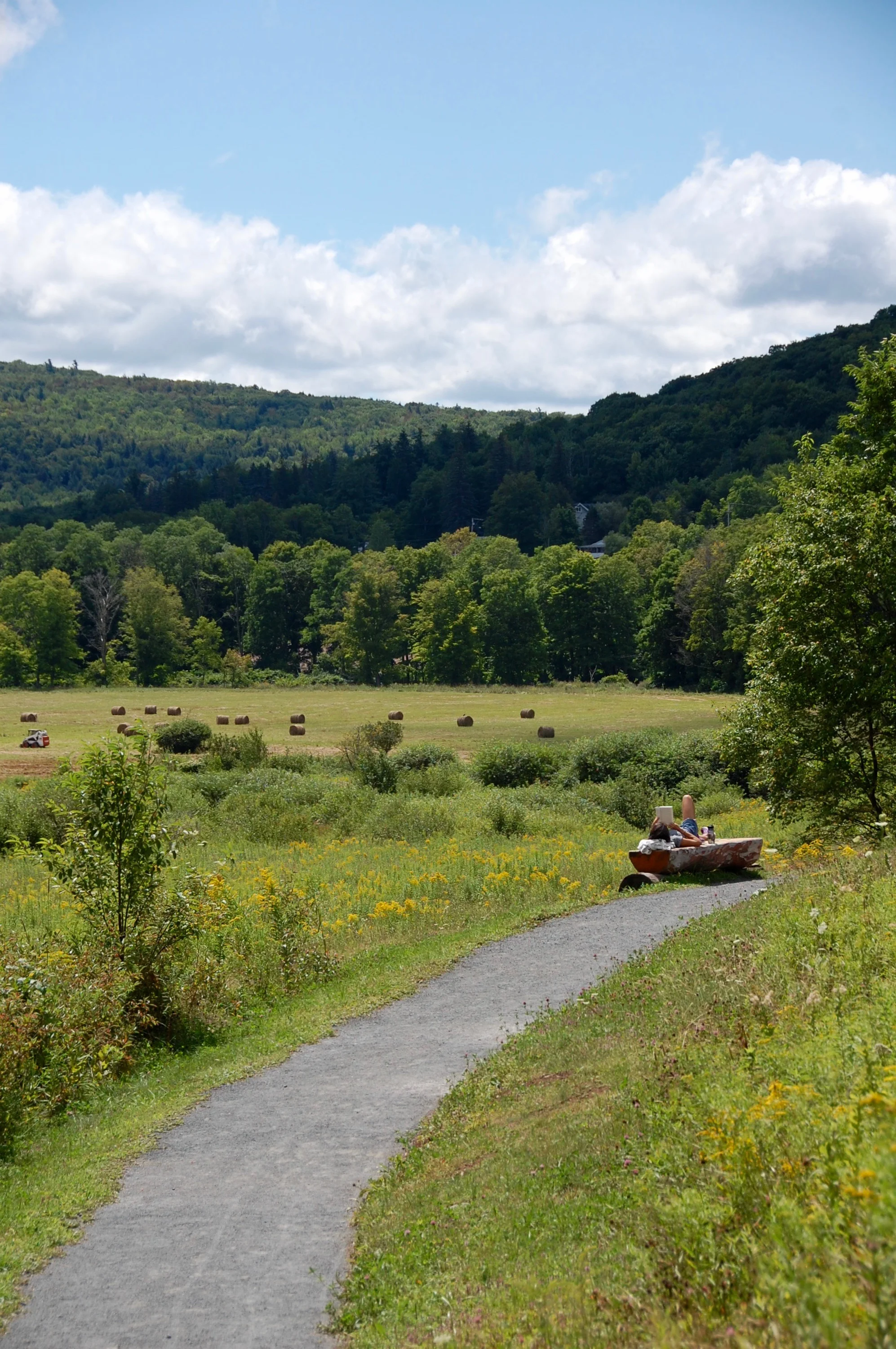 DSC_0686.jpg