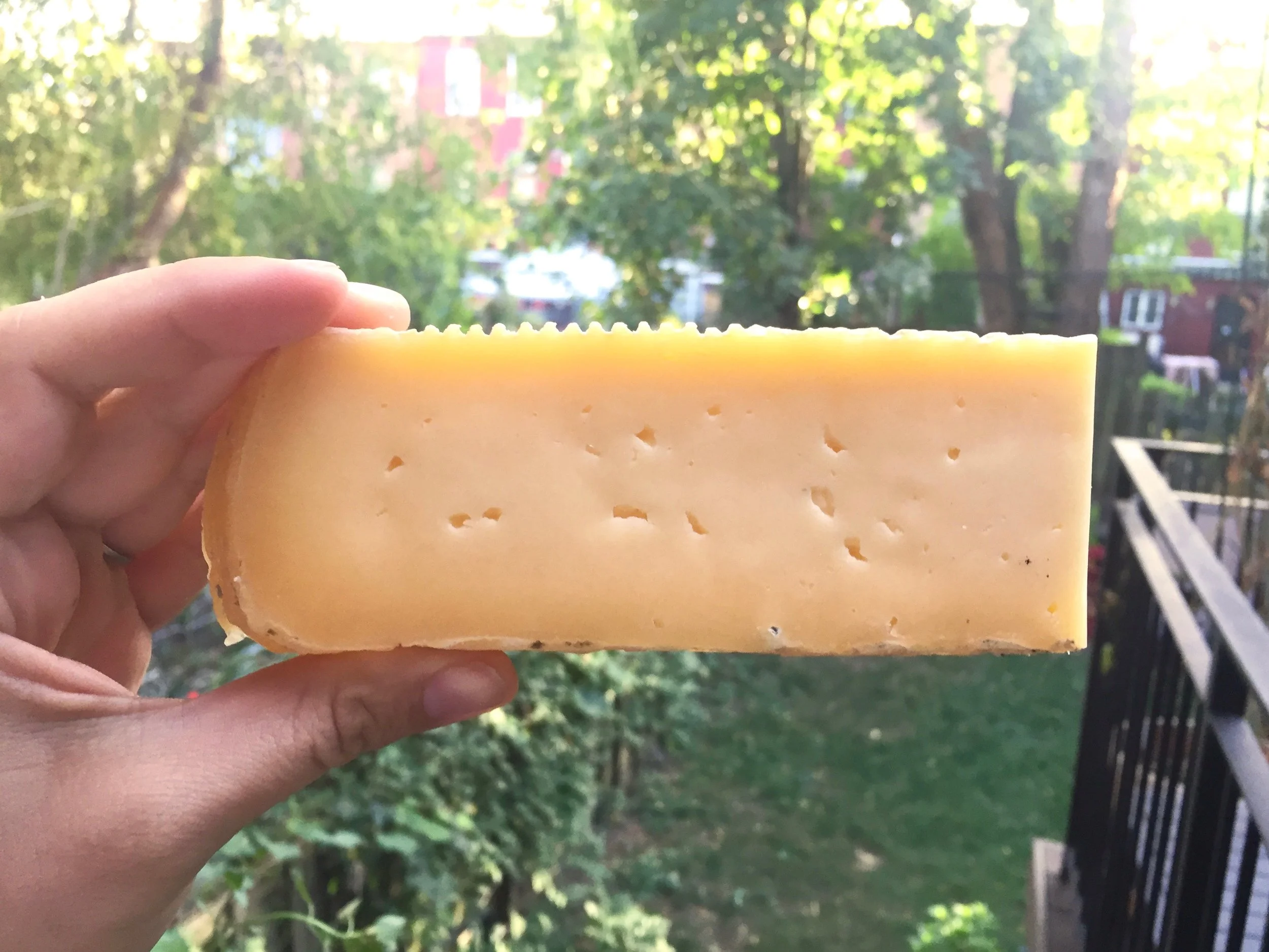 Cow's milk caciotta from Lime Kiln Farm