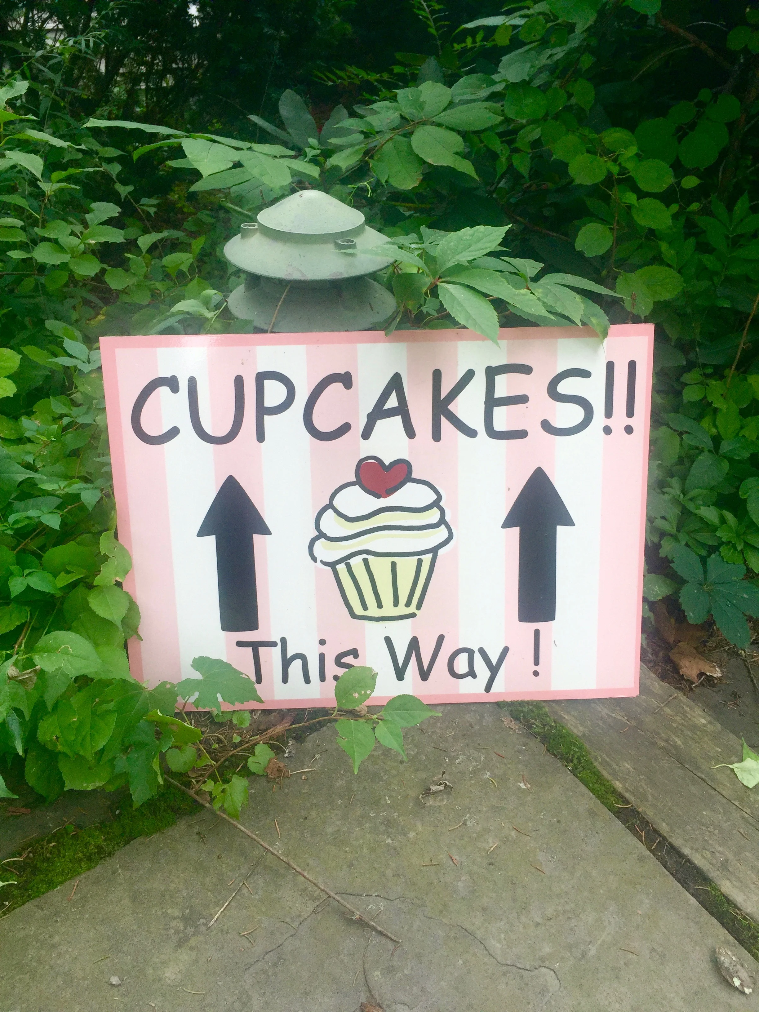 Peace, Love &amp; Cupcakes in Woodstock, NY