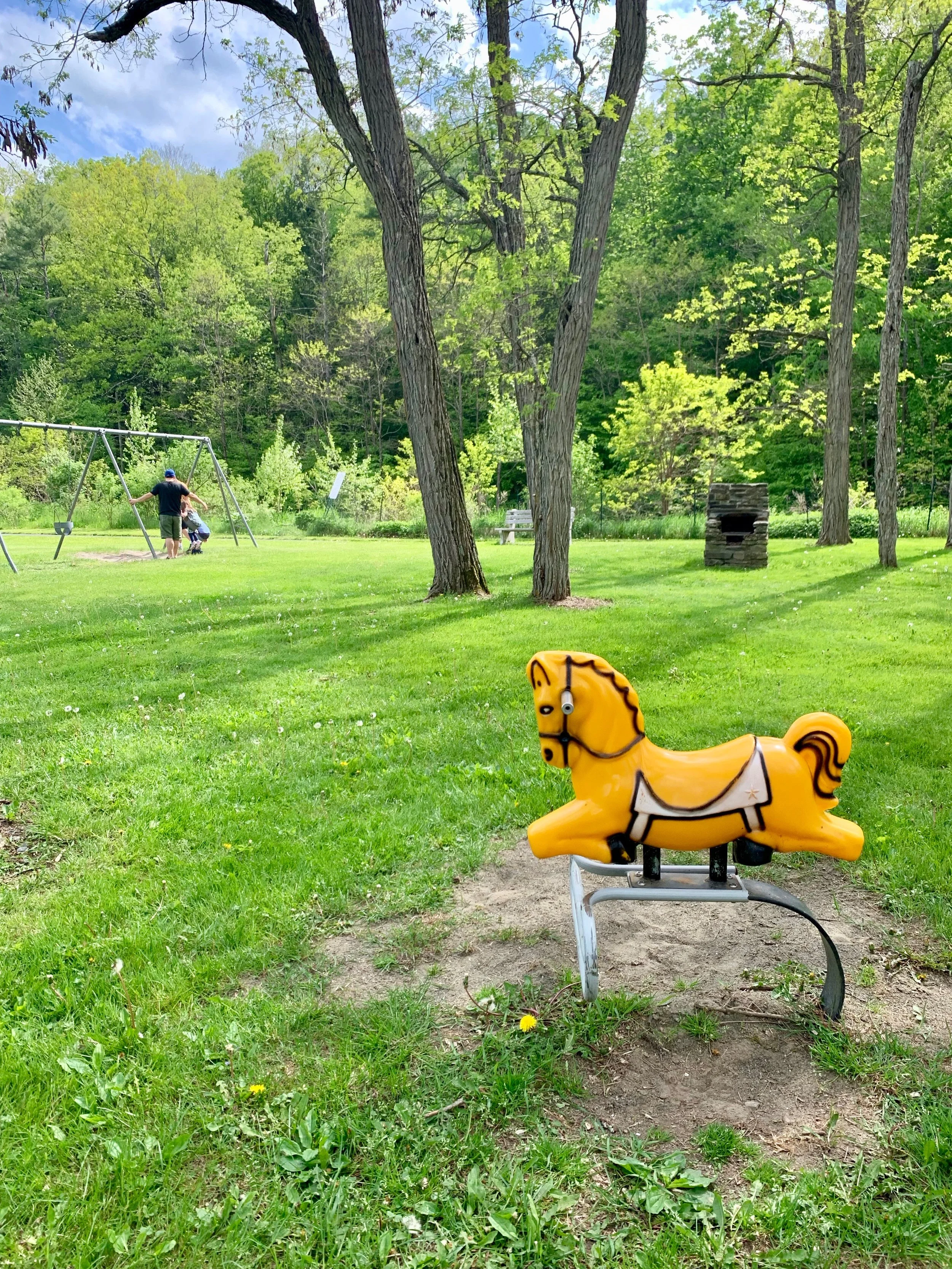 rocking horse.jpeg
