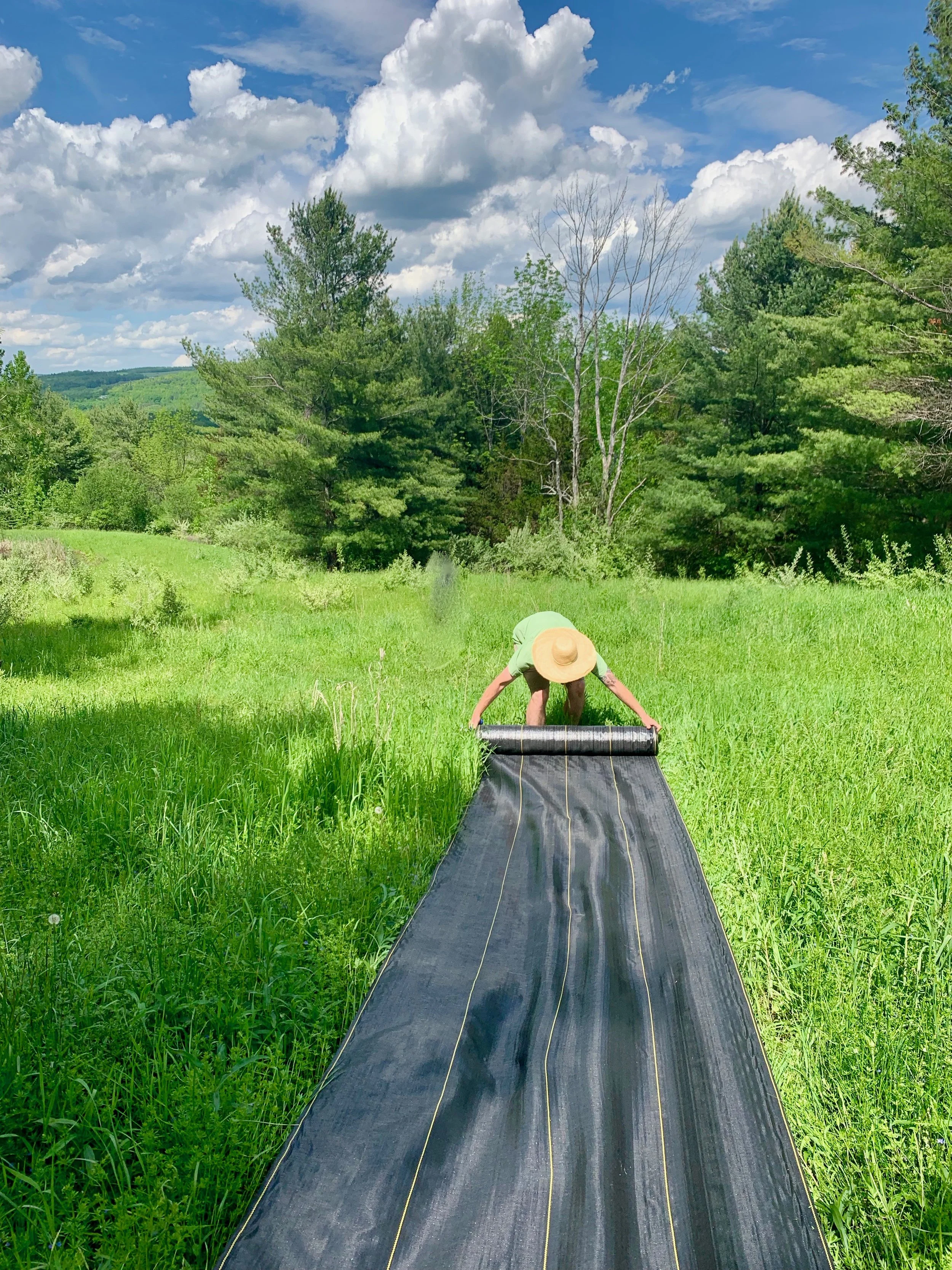 Blazing Trails and Planting Paw Paws with Nature Based
