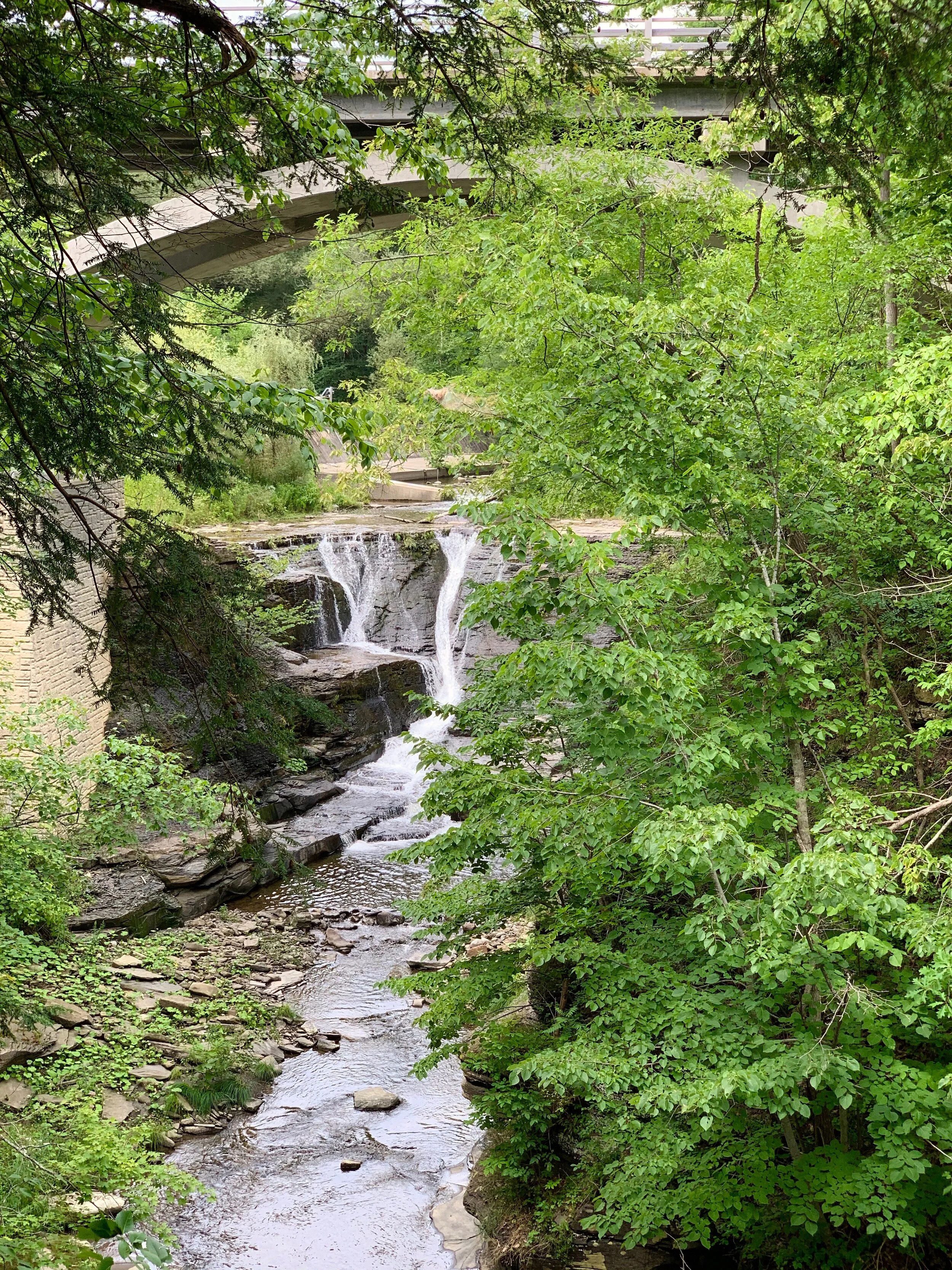 A scenic overlook in Mine Kill Falls State Park.