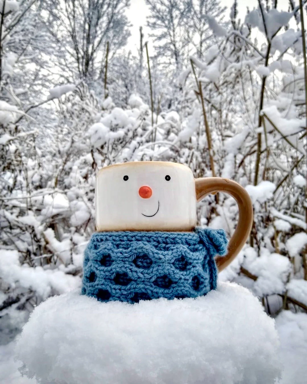 Get Warmer: Catskill Mountain Tea Company