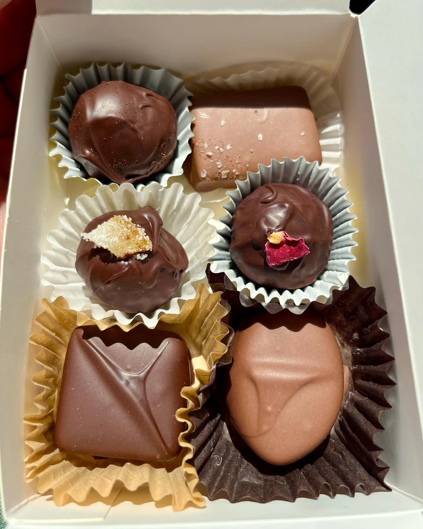 Hort and Pott Handsome Handmade Goods, Plants and Antiques in Oak Hill