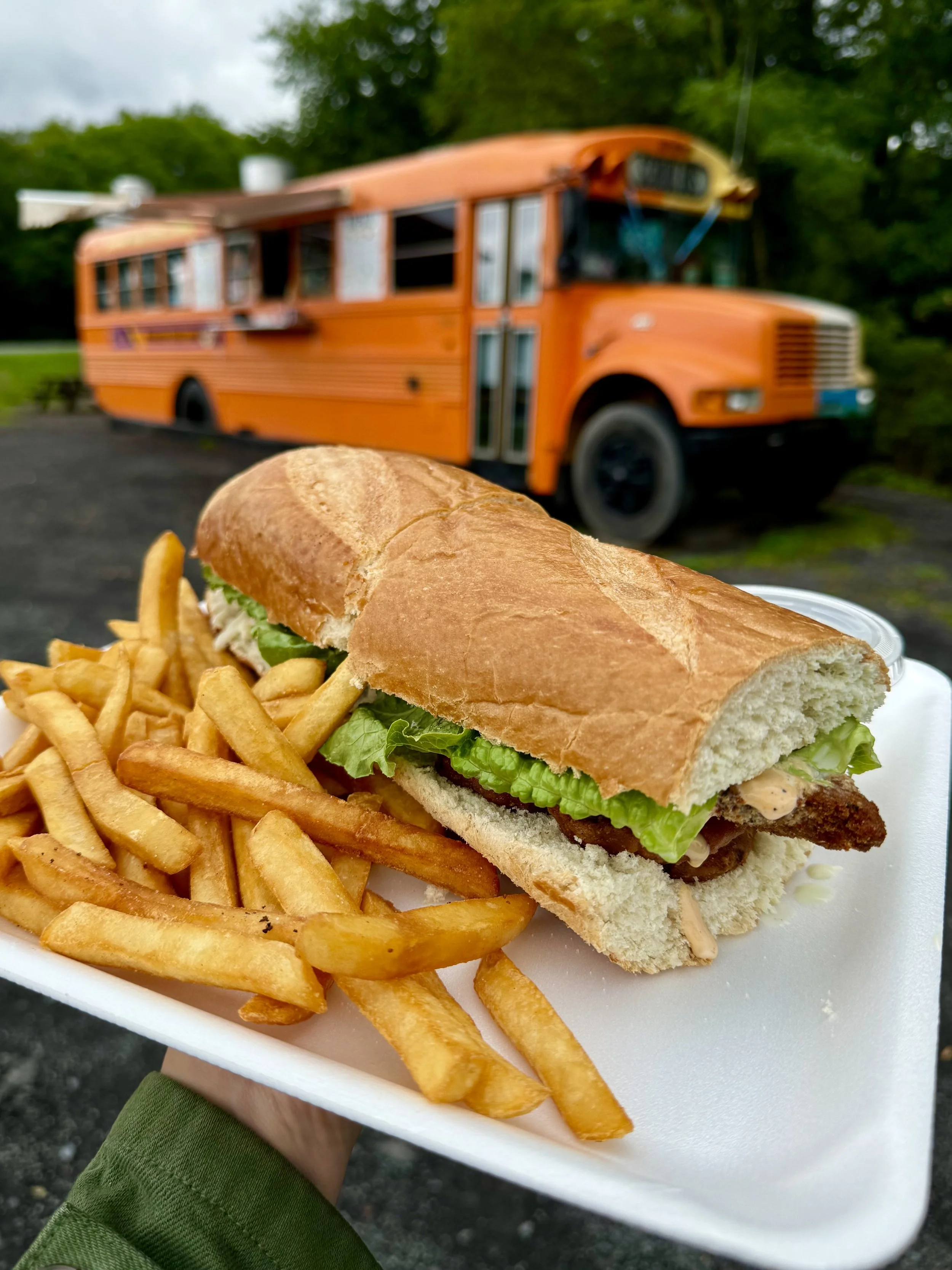 Bus Fare: Hungarian-American in Cairo