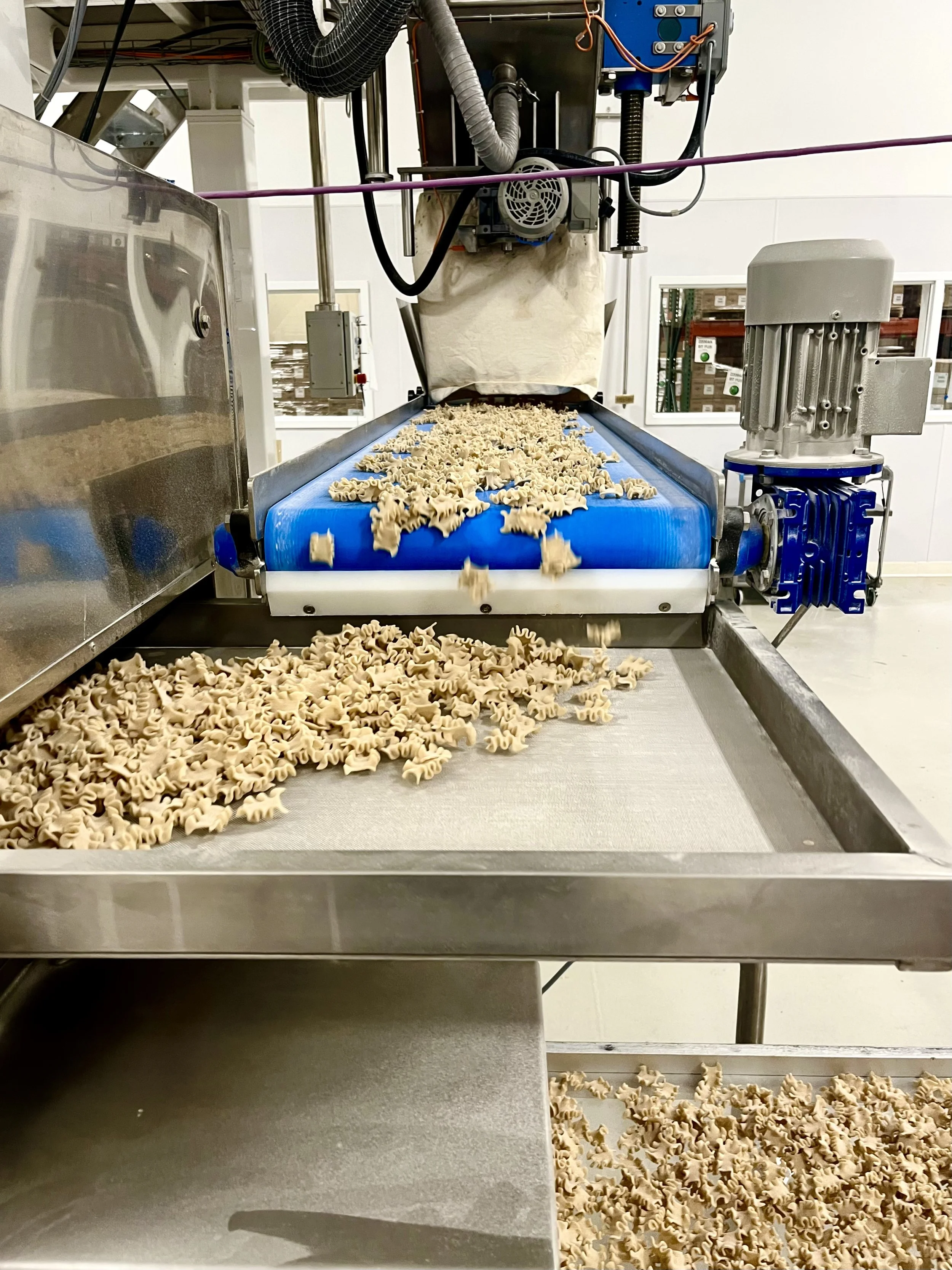 Hudson Valley Pasta A Peek Inside the Sfoglini Factory — Brooklyn