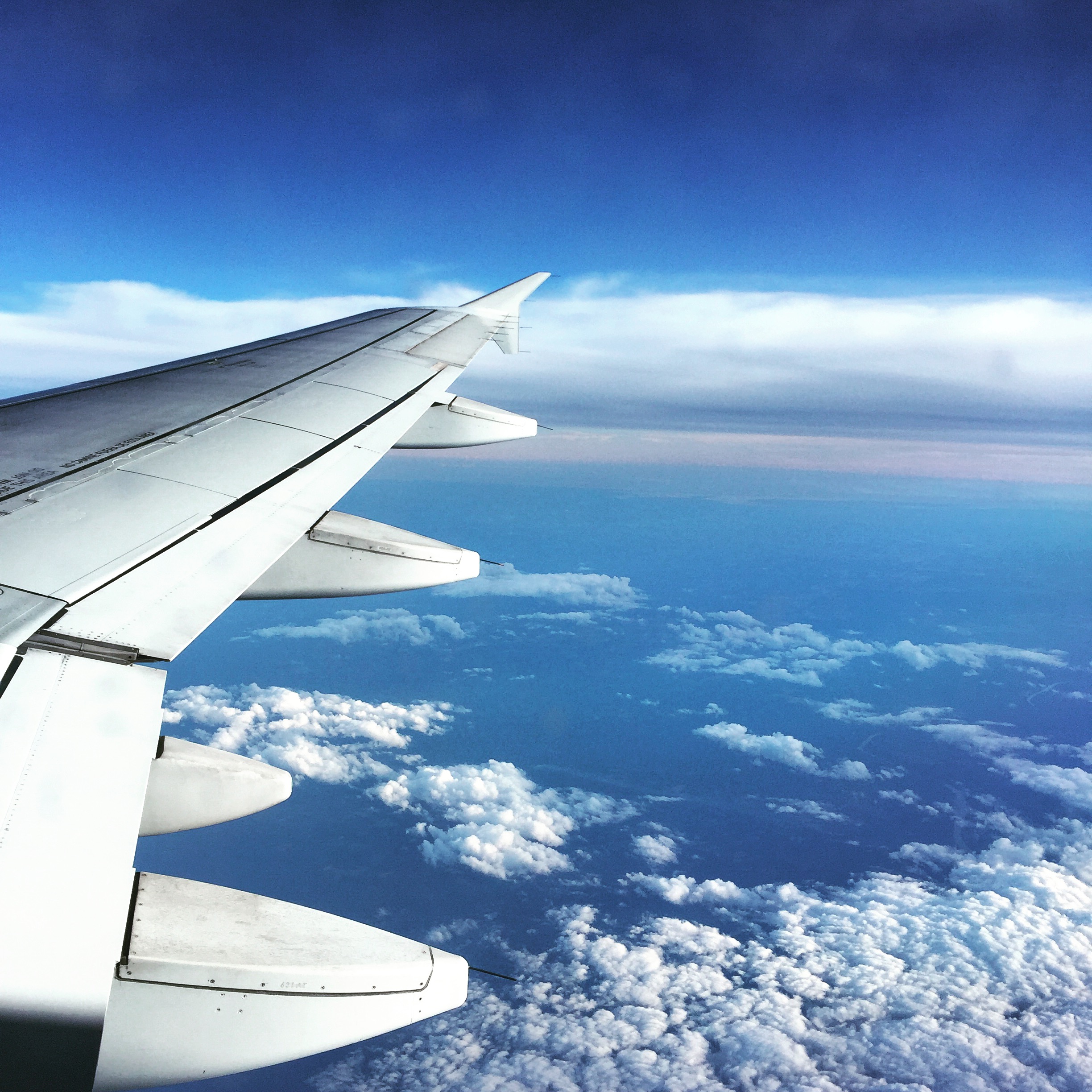 Soaring high in the sky