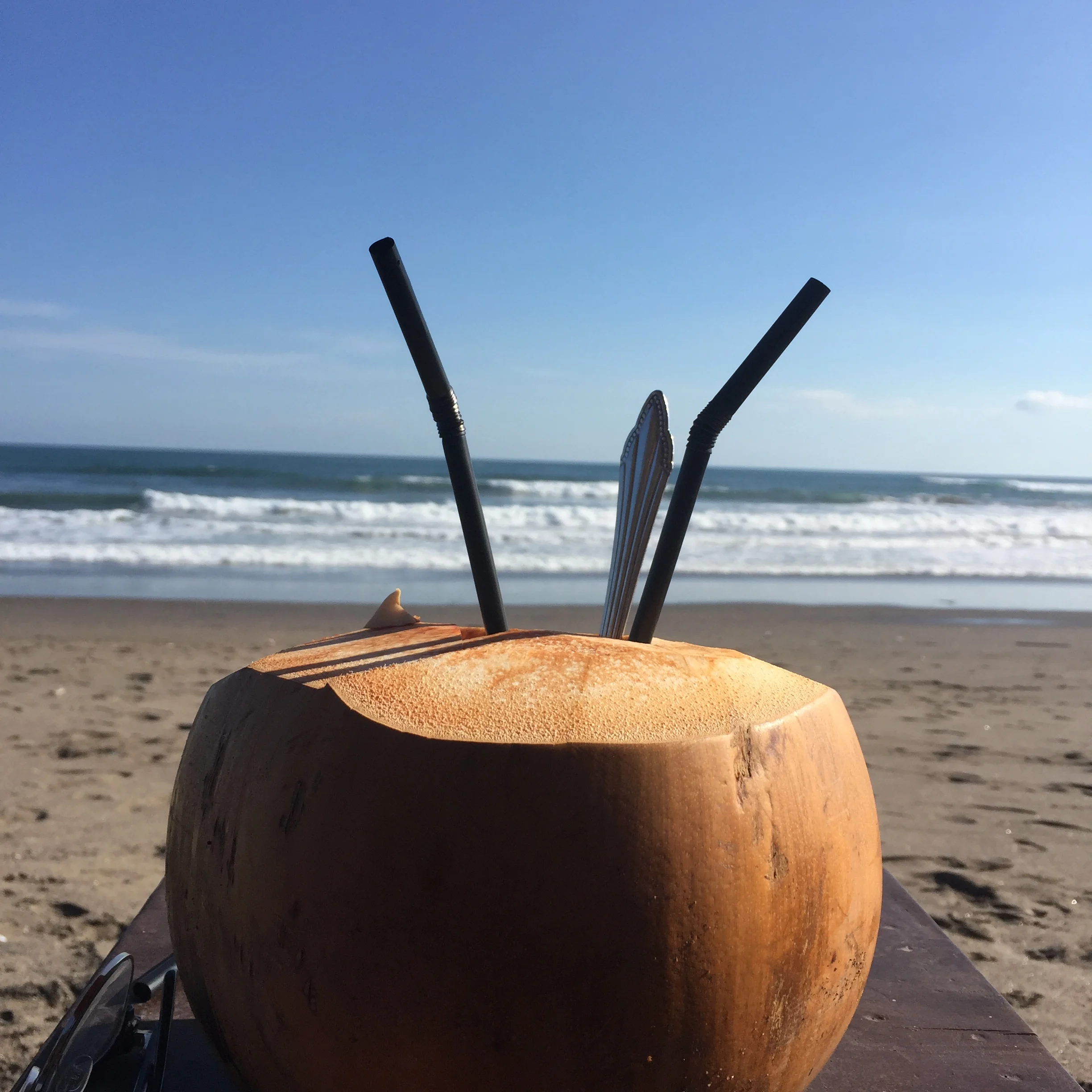  Coconuts, Manifestos & Life Coaching with Leannah on a private beach!