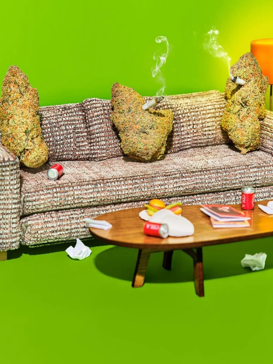 **Cannabis