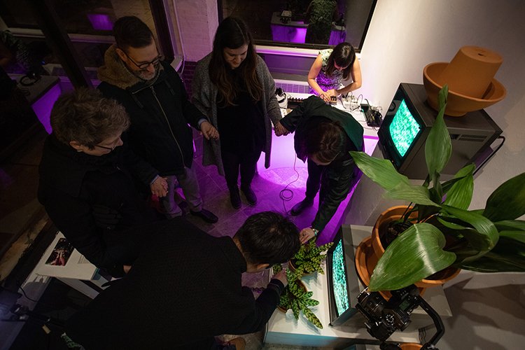 "Biosounds" (2021). Exhibition &amp; performance plants, biosensors, synthesizers, and CRT monitors at Brookline Arts Center.