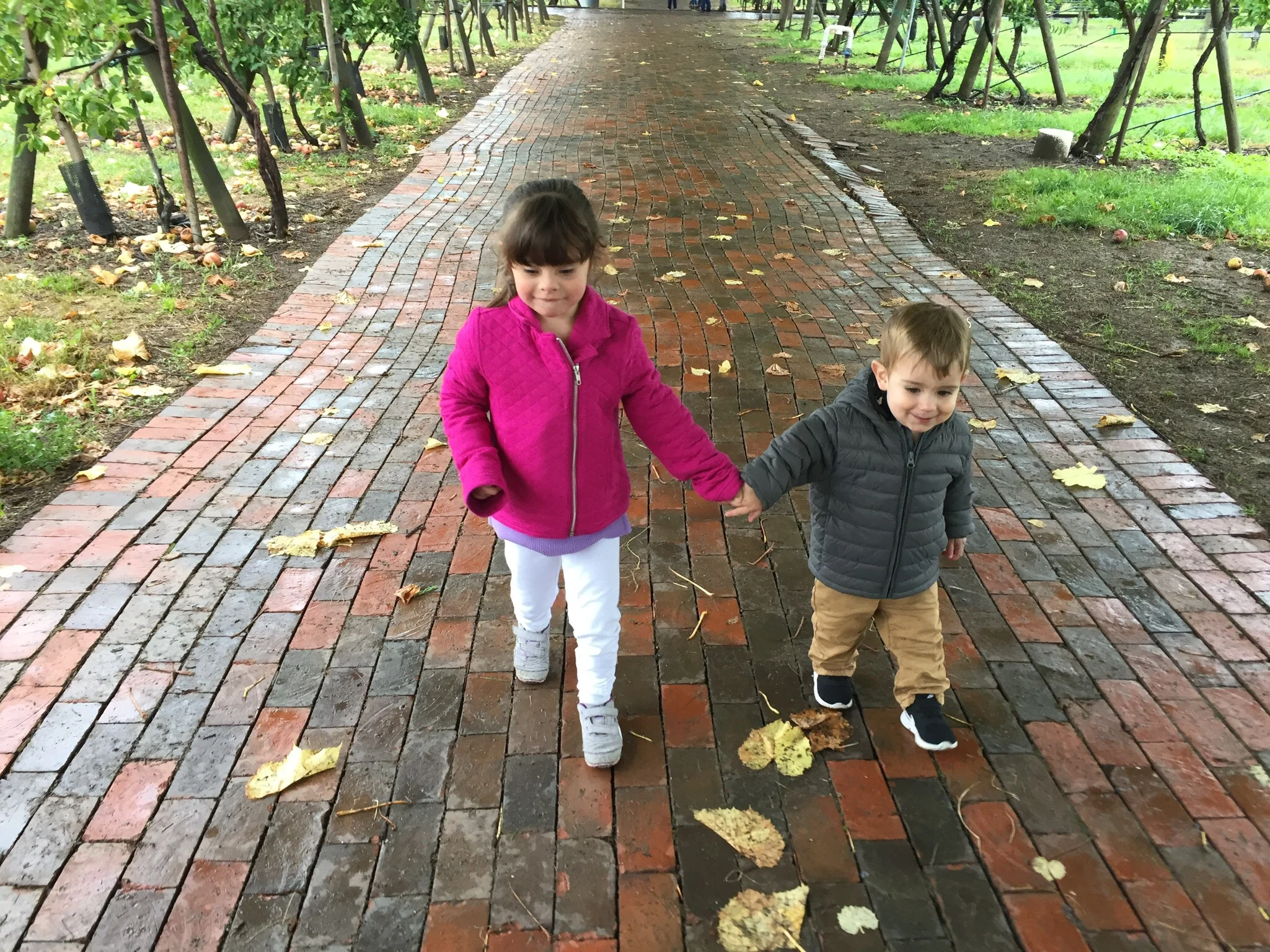 Mila and her younger brother, Aiden, enjoying the leaves