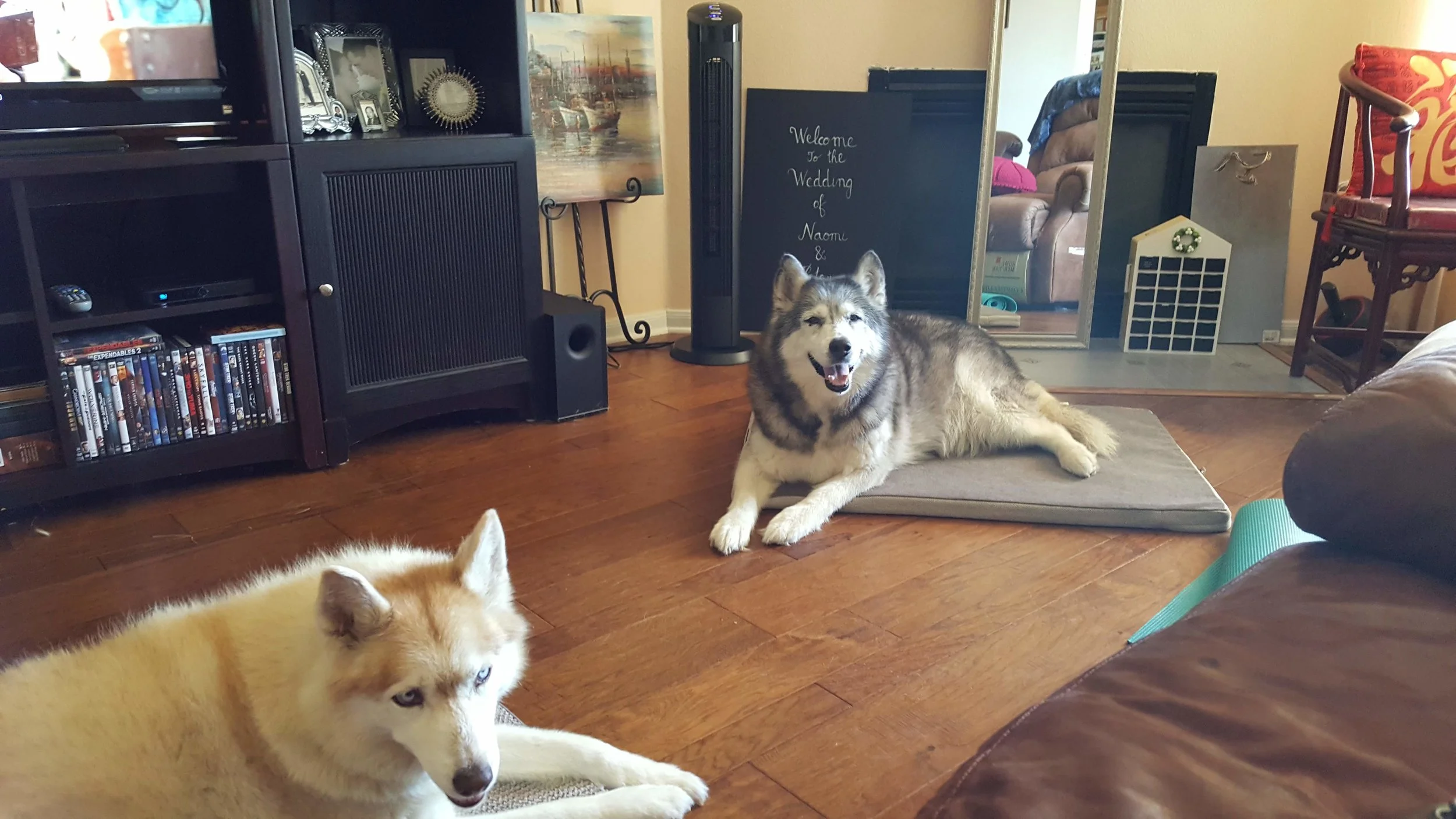 20180627_155517.jpg