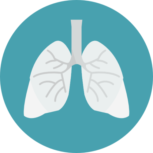 lungs.png