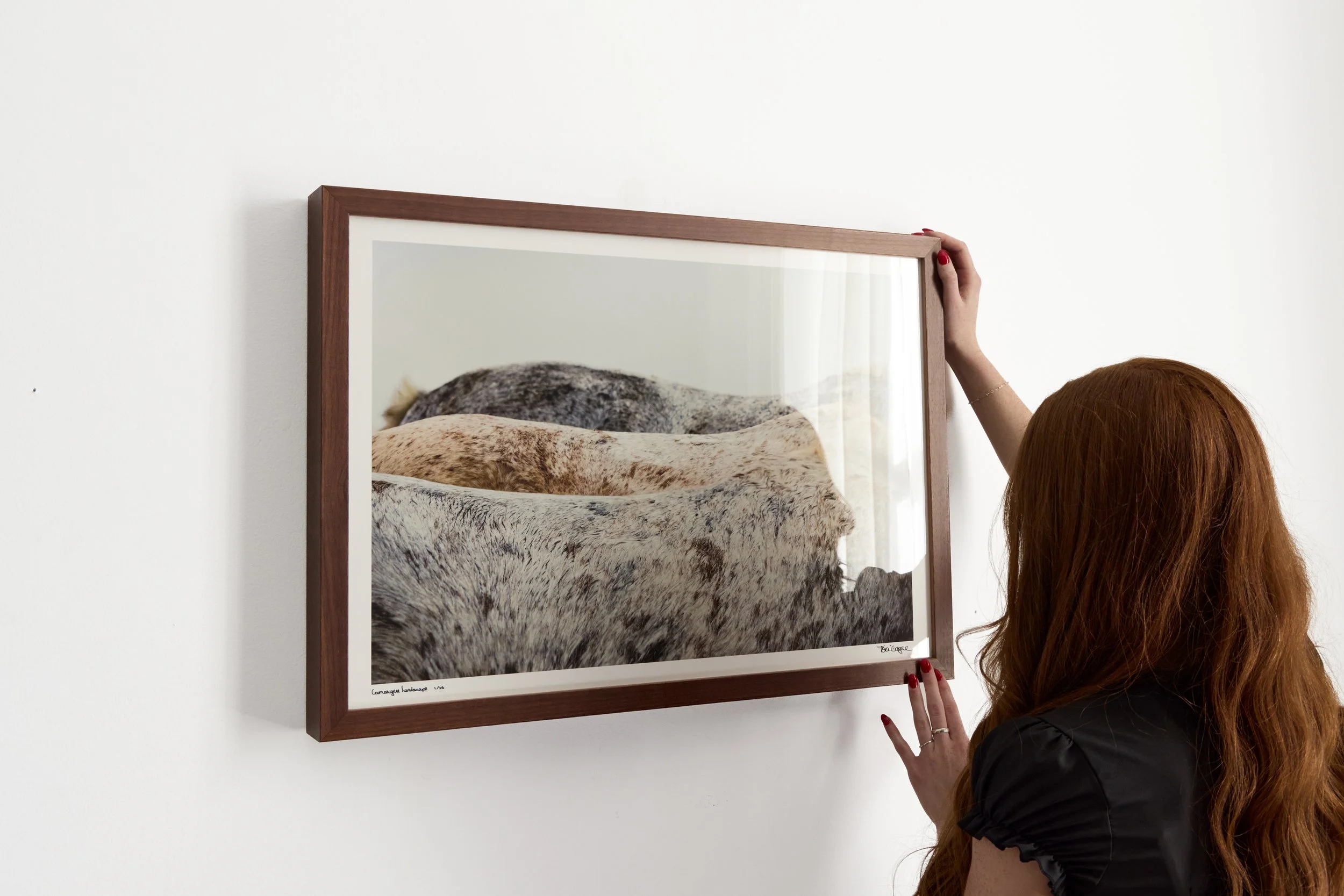 Kibler and Kirch Tori Gagne Camargue Landscape 20262353.jpg