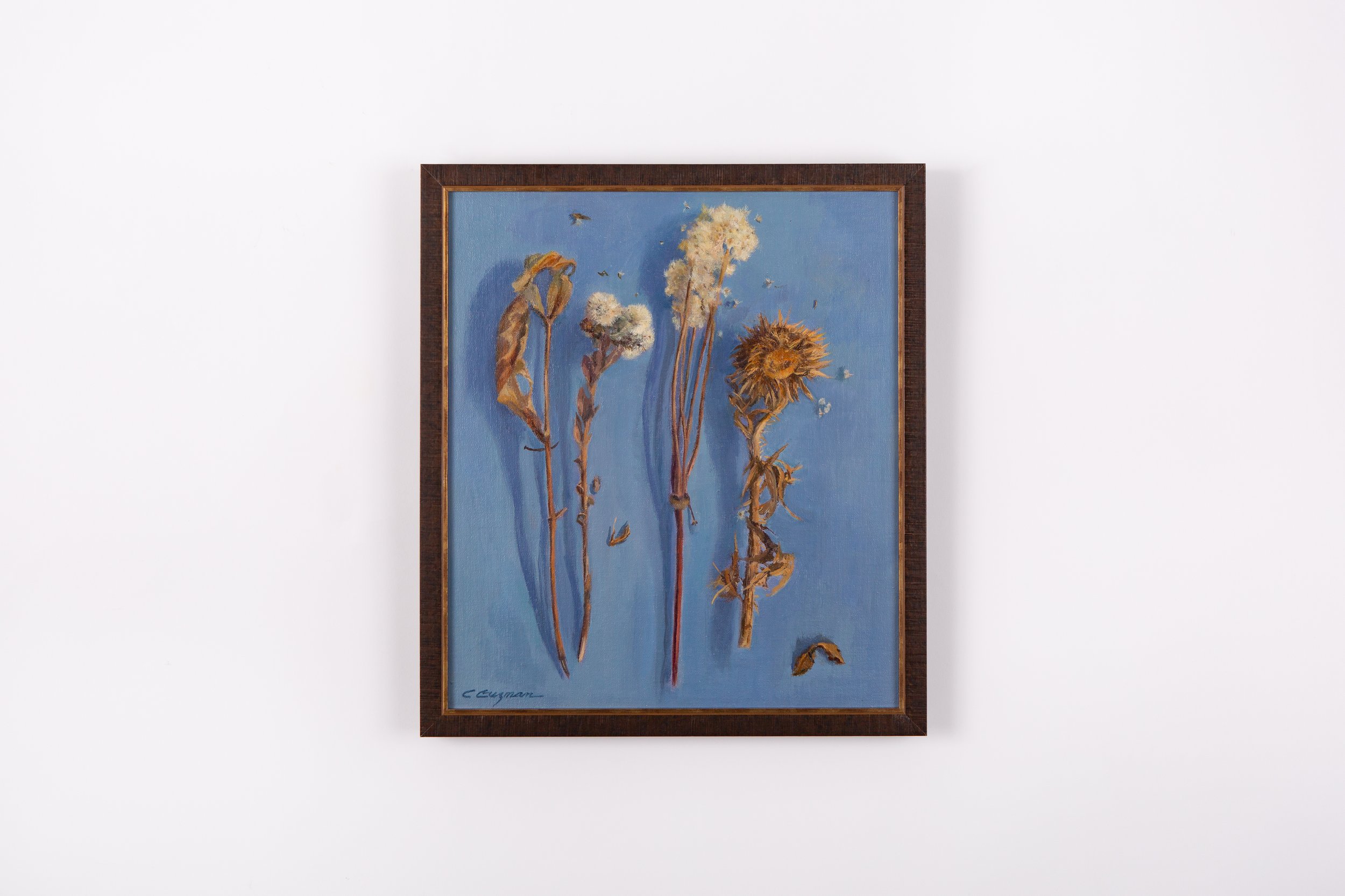 Carol Guzman - Dried Wildflowers on Blue — Stapleton Gallery