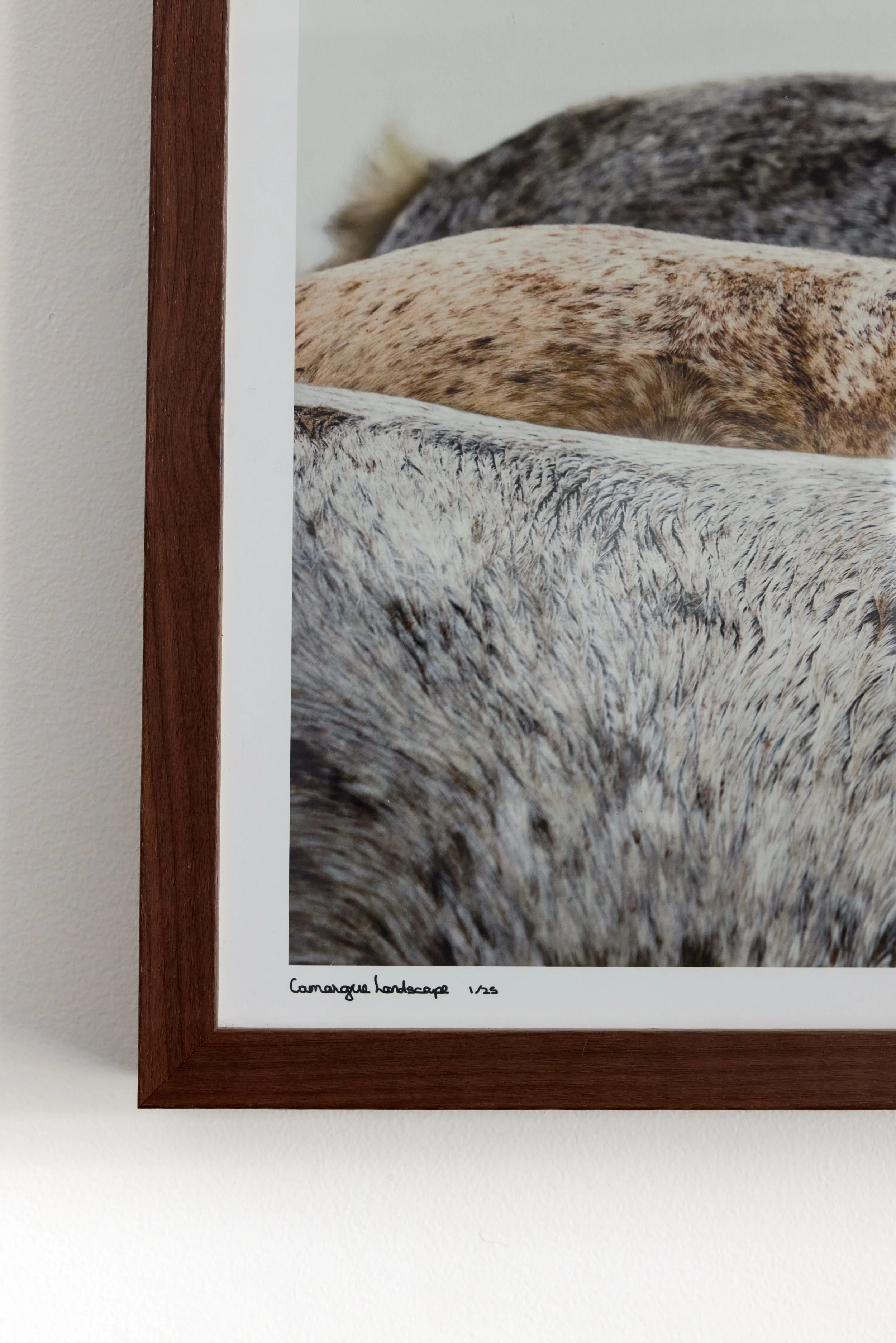 Kibler and Kirch Tori Gagne Camargue Landscape 20262357.jpg