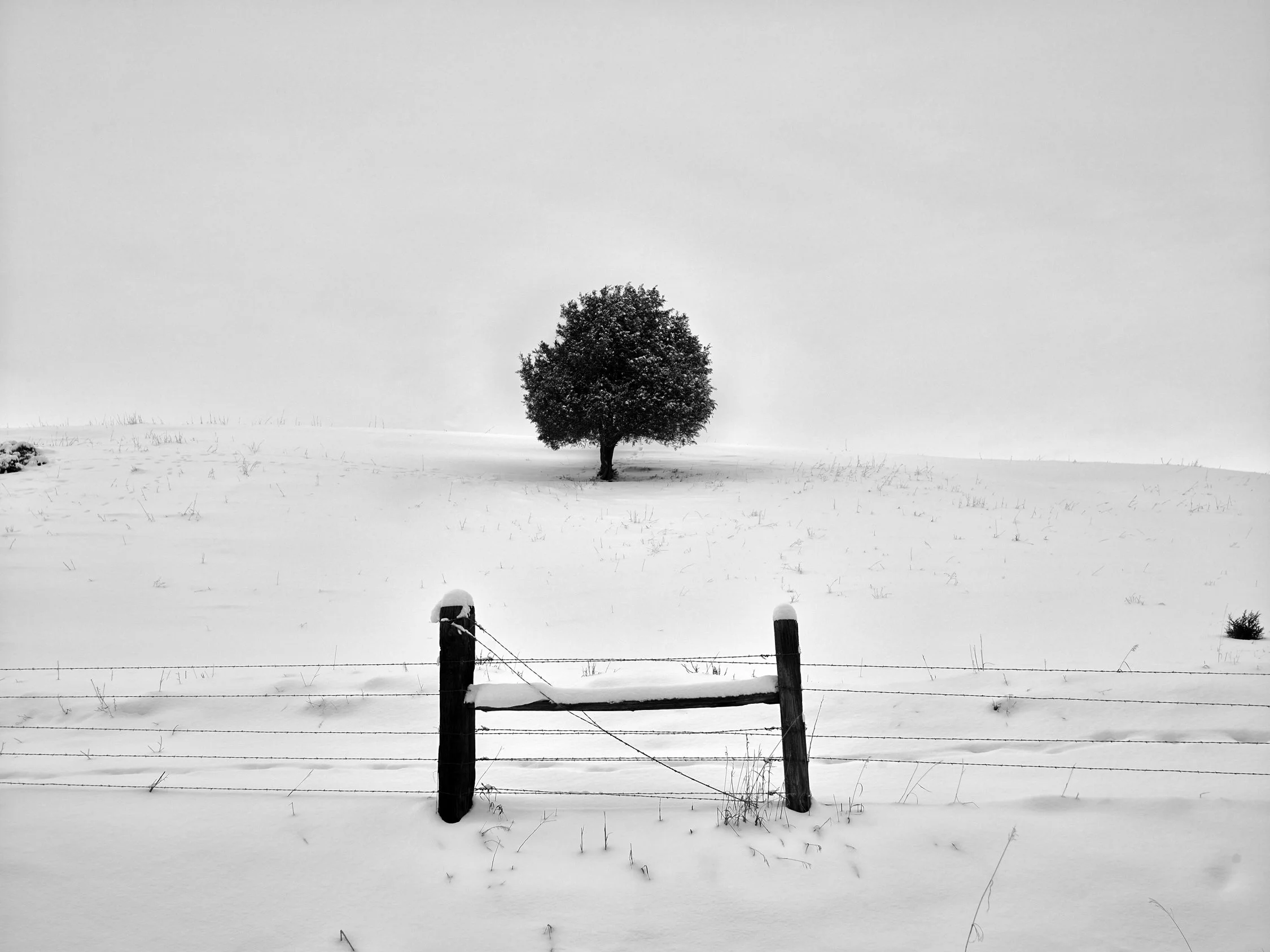 Springhill Montana 2022.jpg