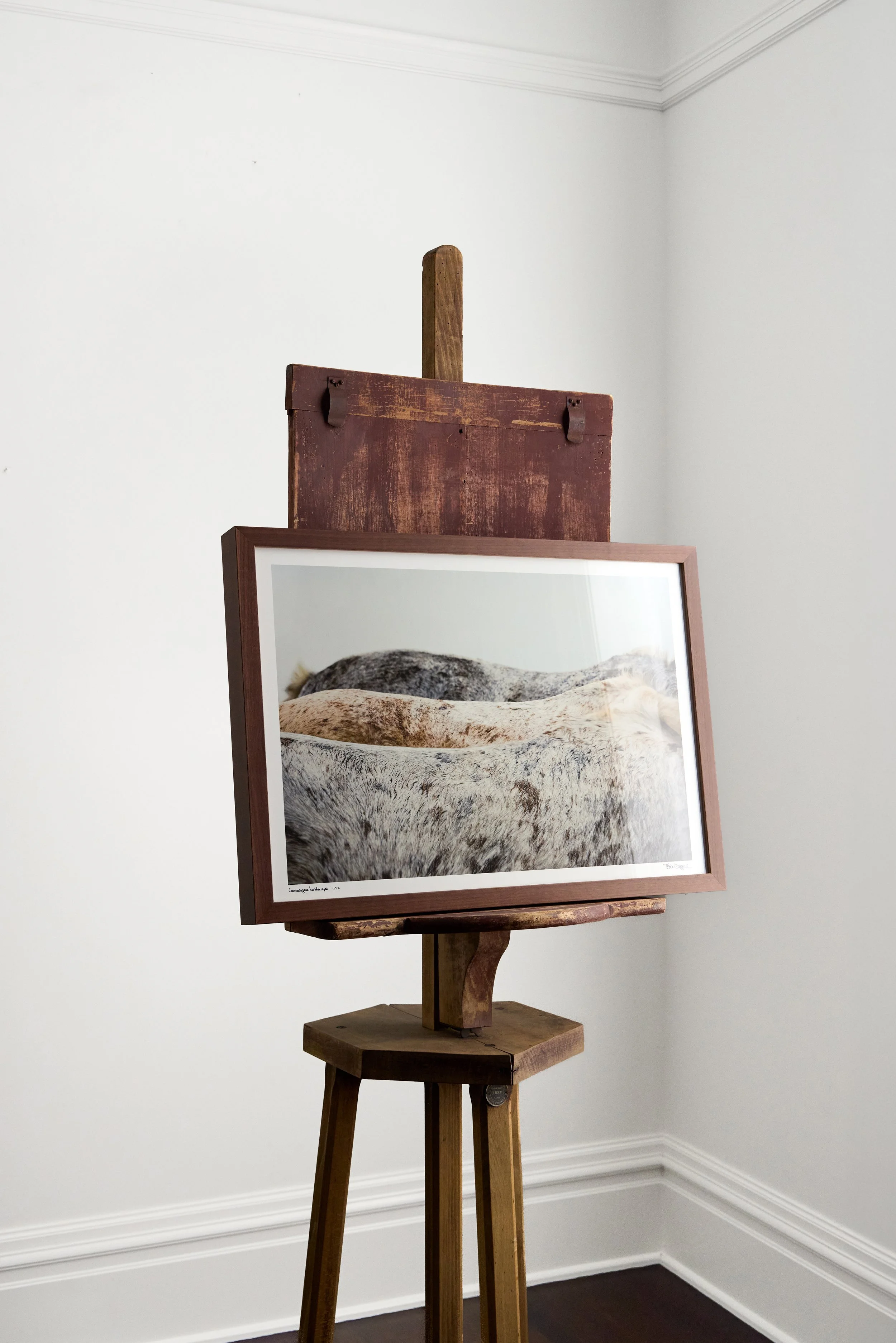Kibler and Kirch Tori Gagne Camargue Landscape 20262273.jpg