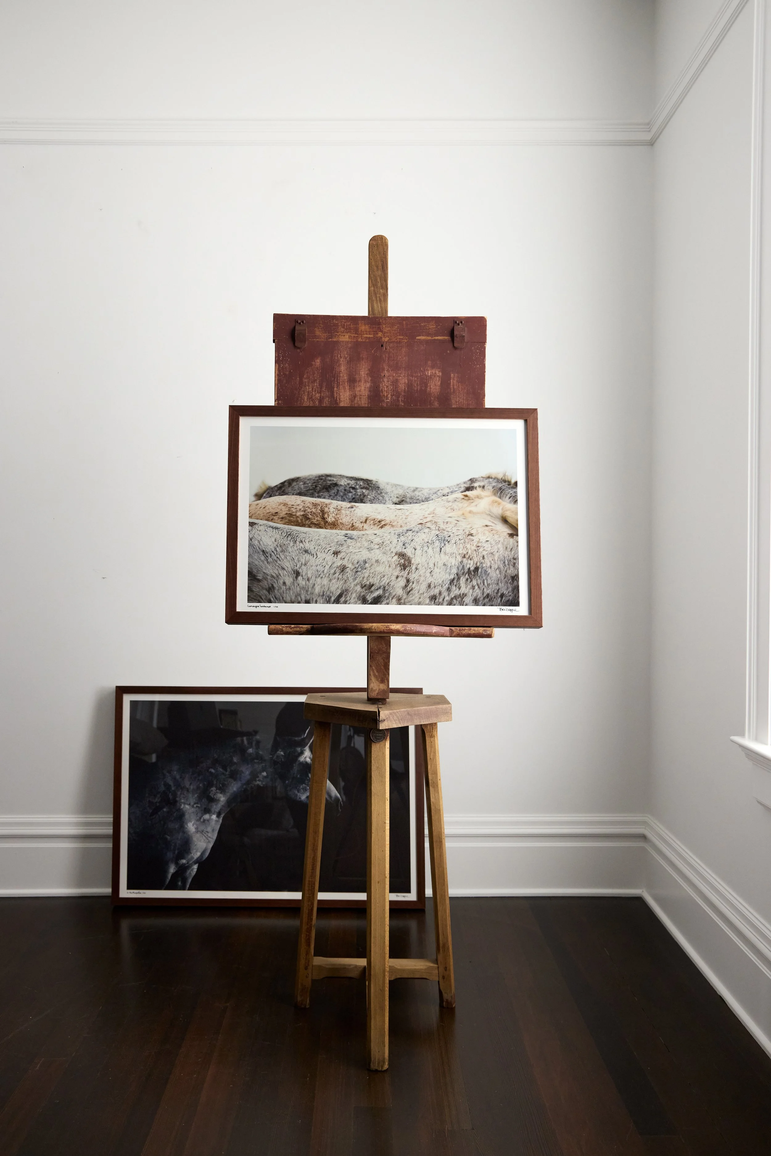 Kibler and Kirch Tori Gagne Camargue Landscape 20262275.jpg