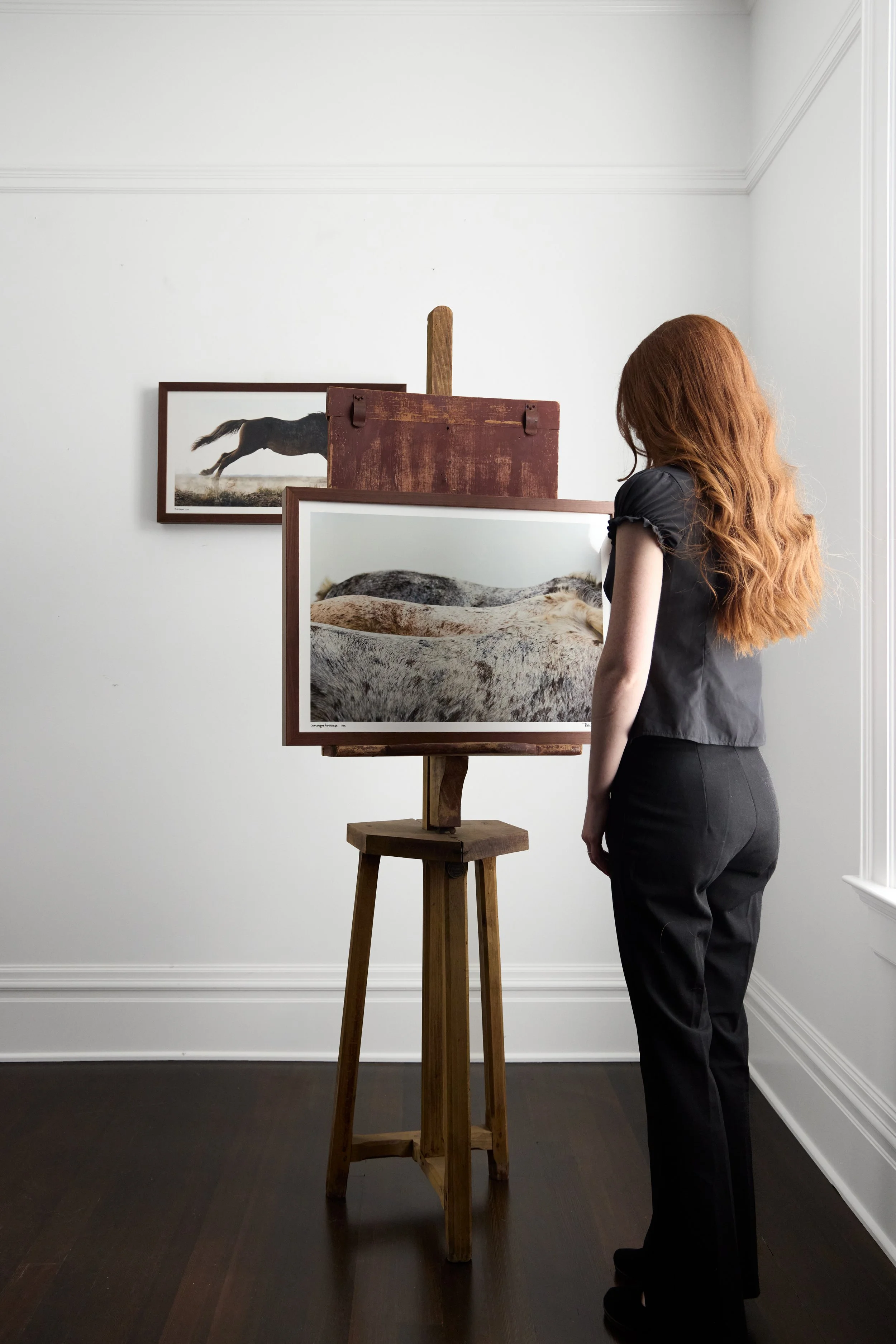 Kibler and Kirch Tori Gagne Camargue Landscape 20262277.jpg