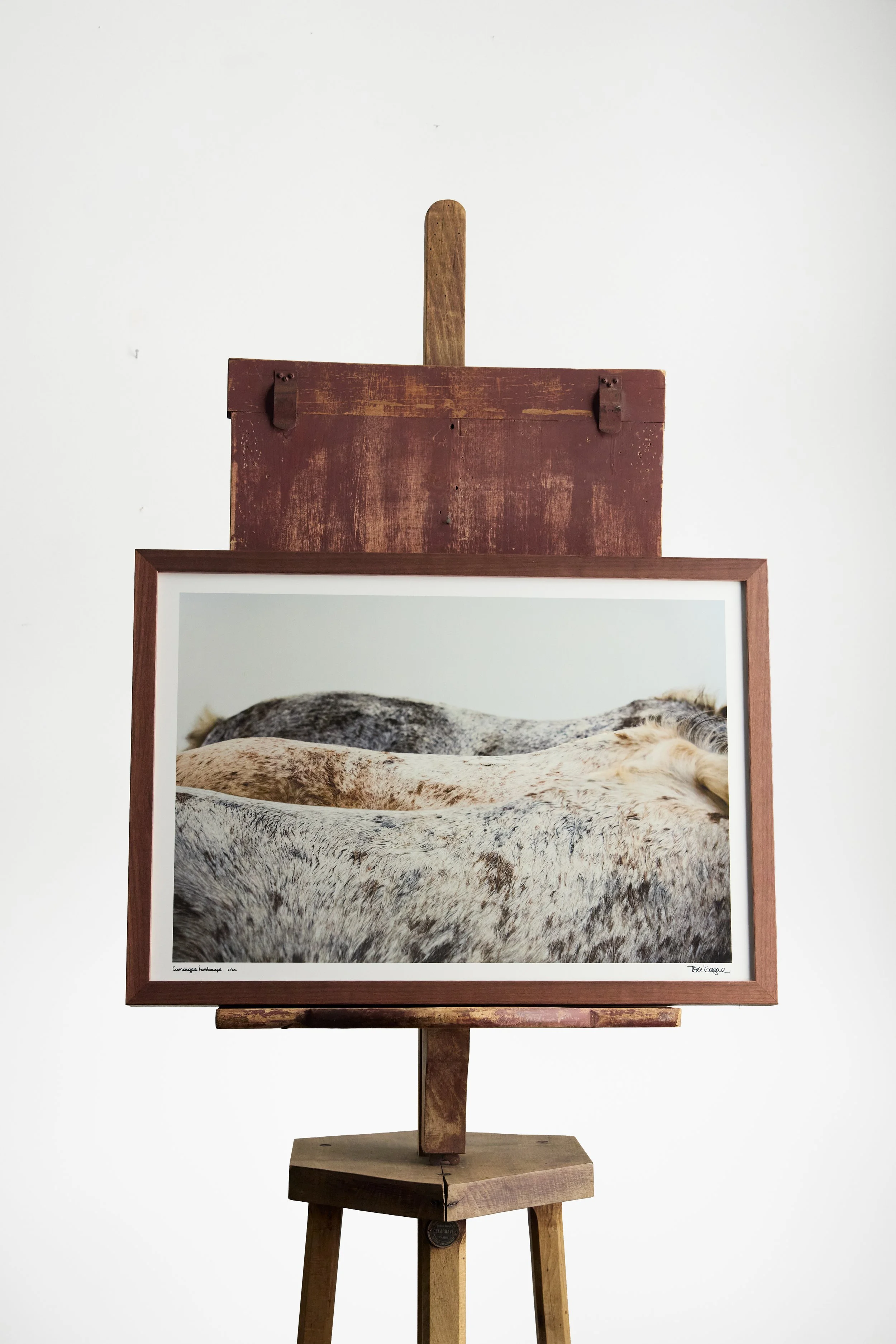 Kibler and Kirch Tori Gagne Camargue Landscape 20262310.jpg