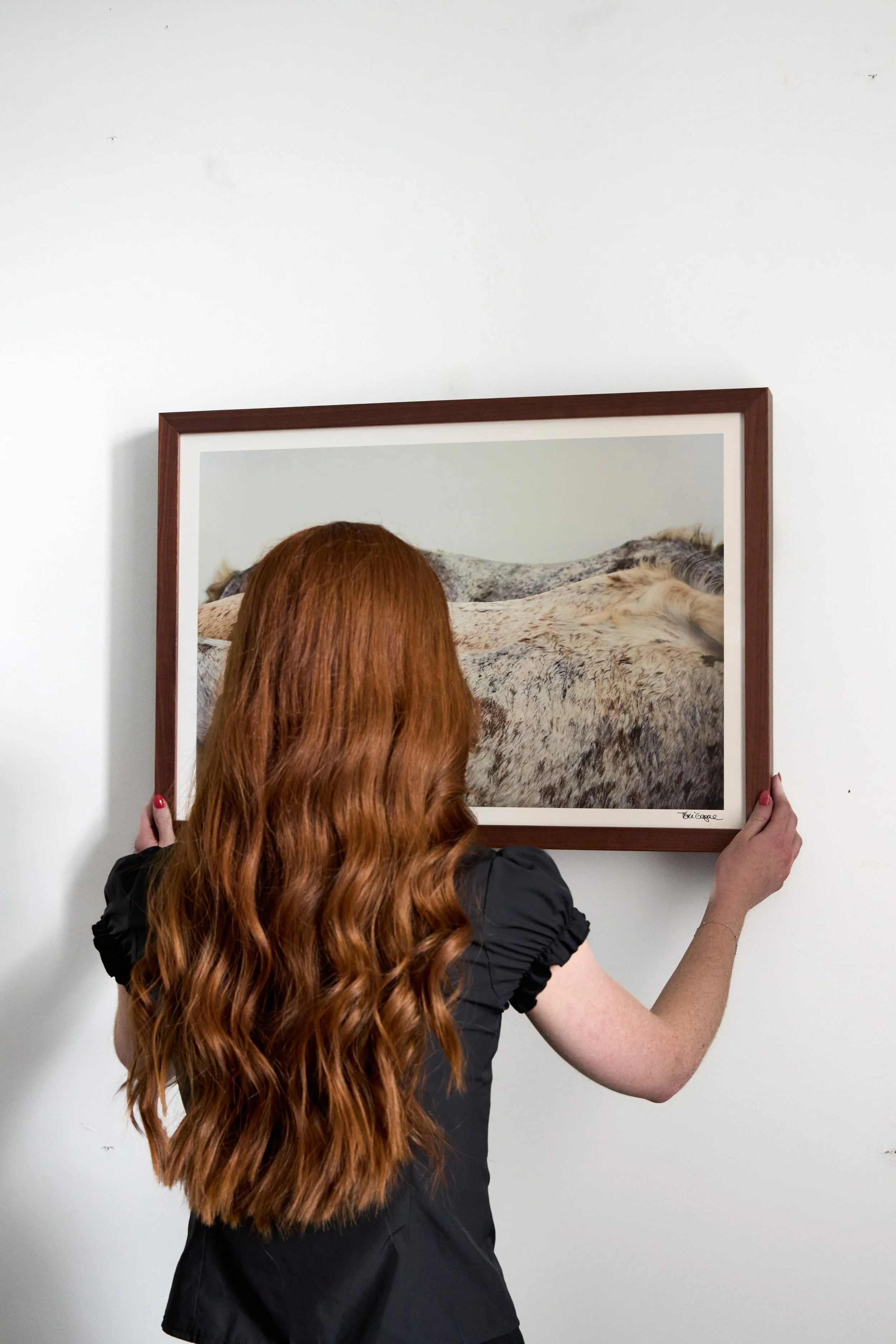Kibler and Kirch Tori Gagne Camargue Landscape 20262364.jpg