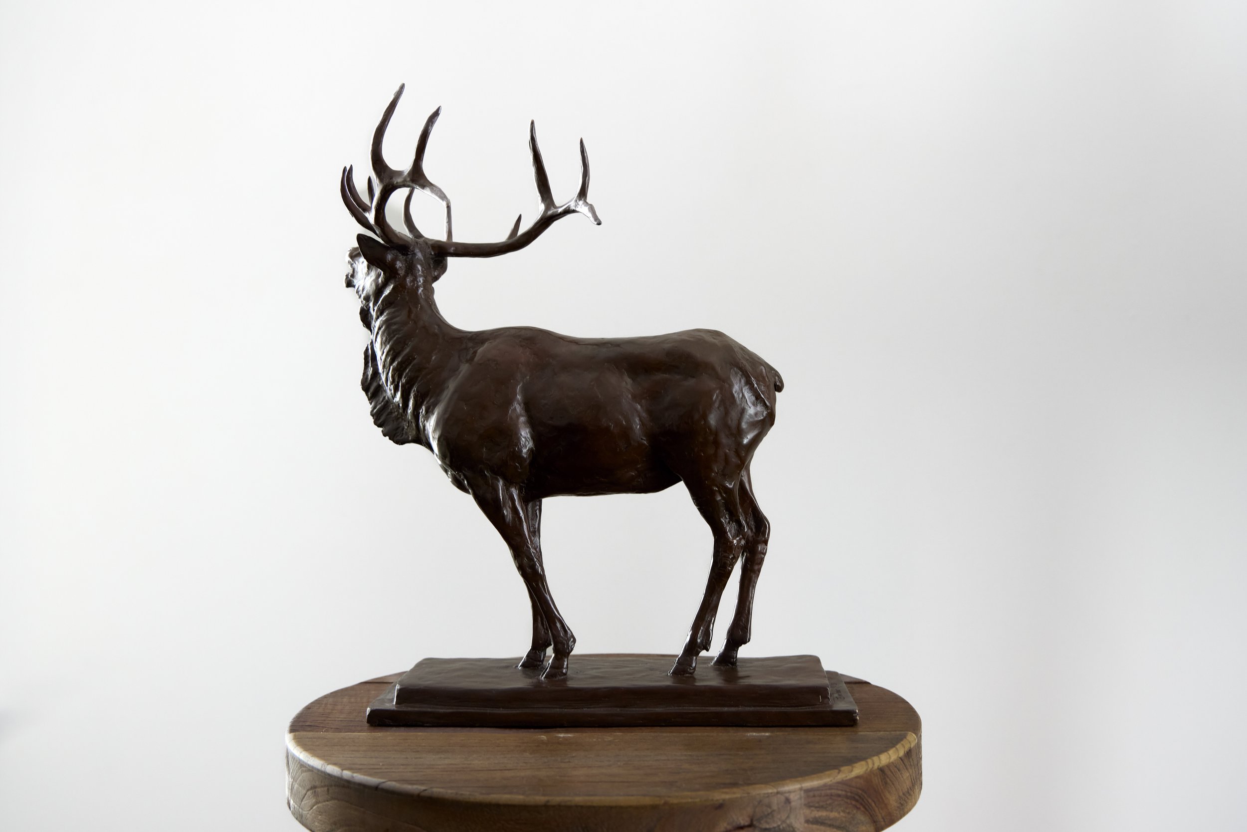 Kibler and Kirch KKFA 2026 Mike Barlow Across the Canyon 1101.jpg