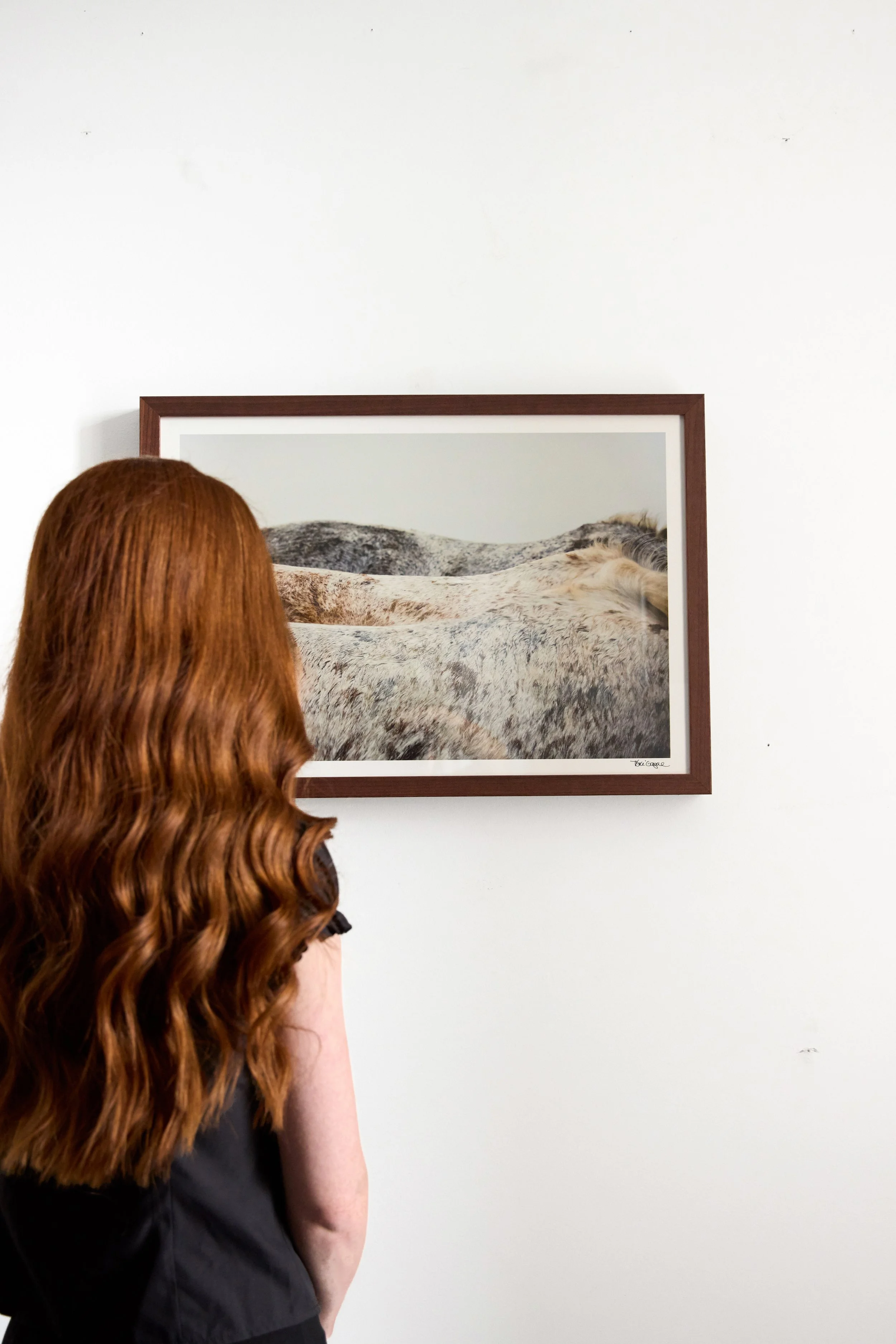 Kibler and Kirch Tori Gagne Camargue Landscape 20262368-.jpg