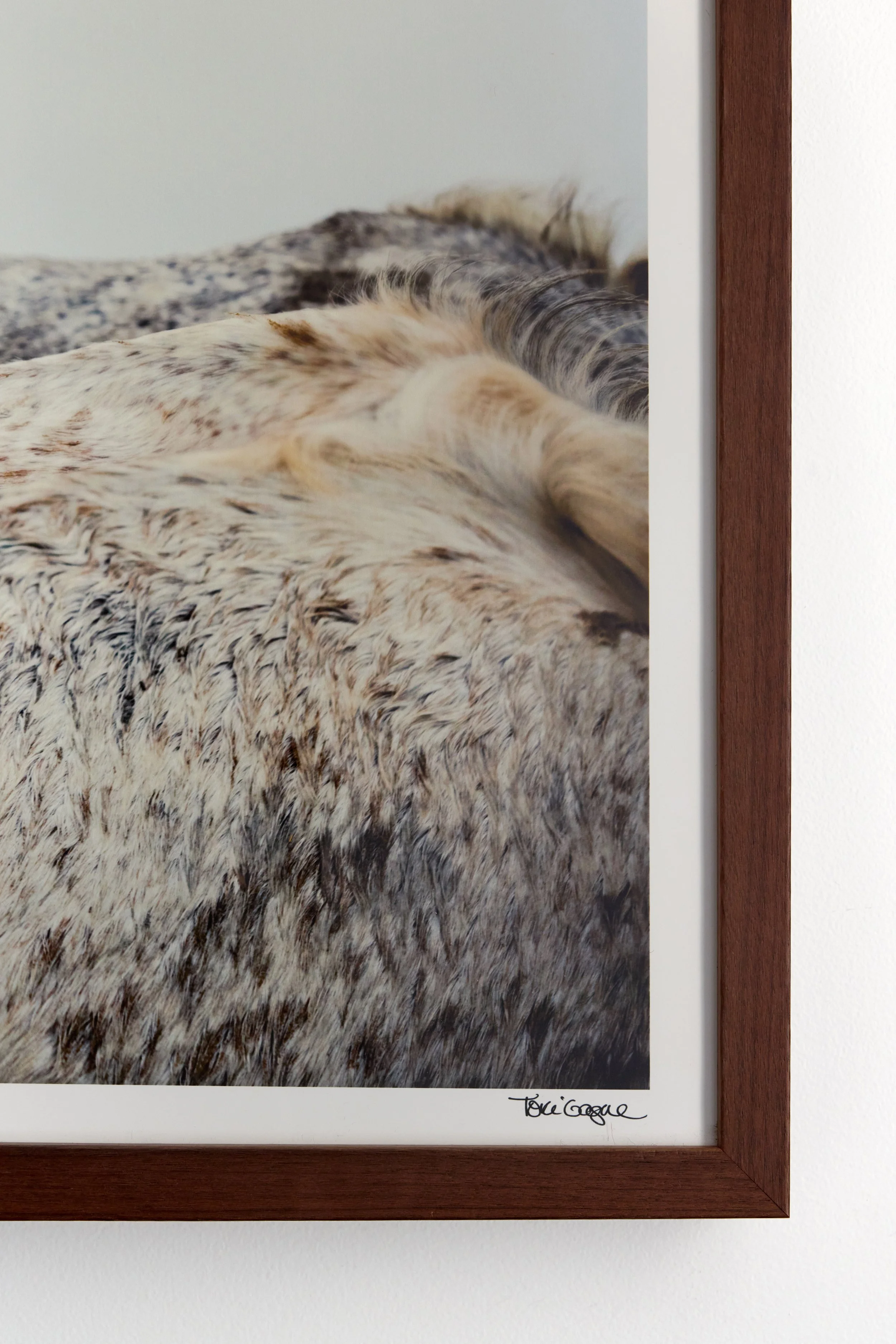 Kibler and Kirch Tori Gagne Camargue Landscape 20262356.jpg