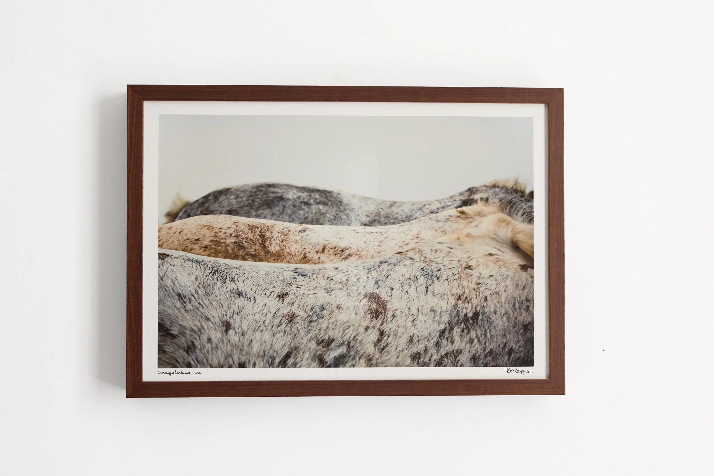 Kibler and Kirch Tori Gagne Camargue Landscape 20262354.jpg