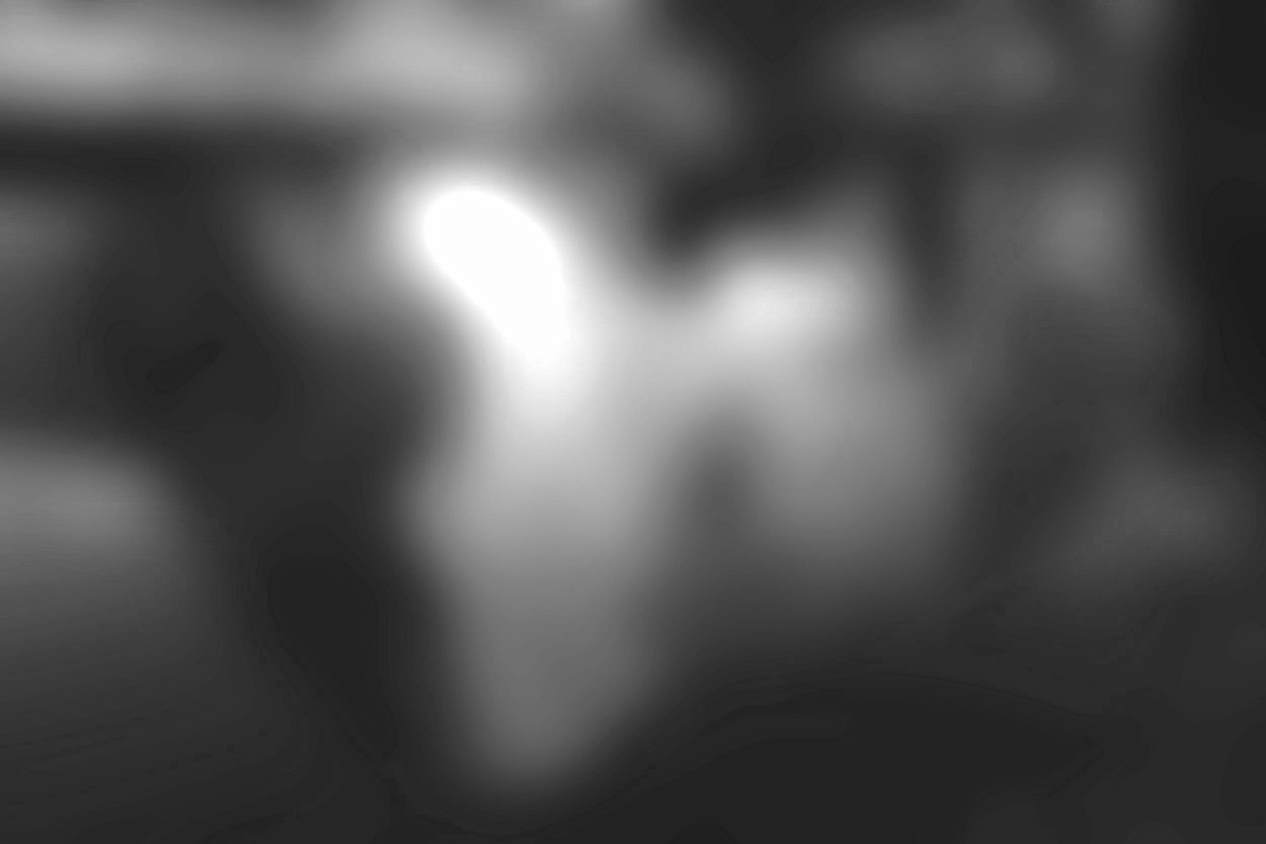 20140916-squarespace-1555-blur.jpg