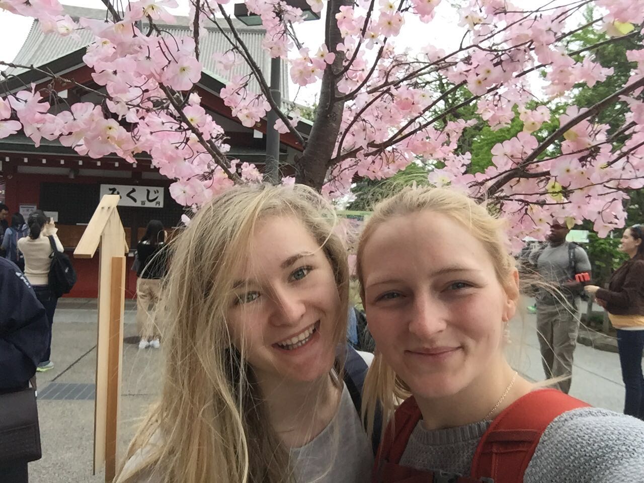 Catching the last of the blossom with Shauna