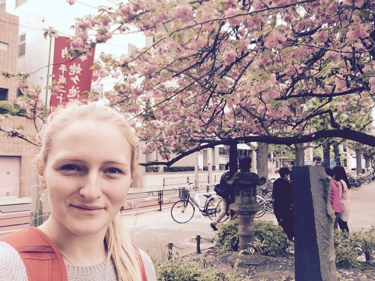 Hello from Japan!