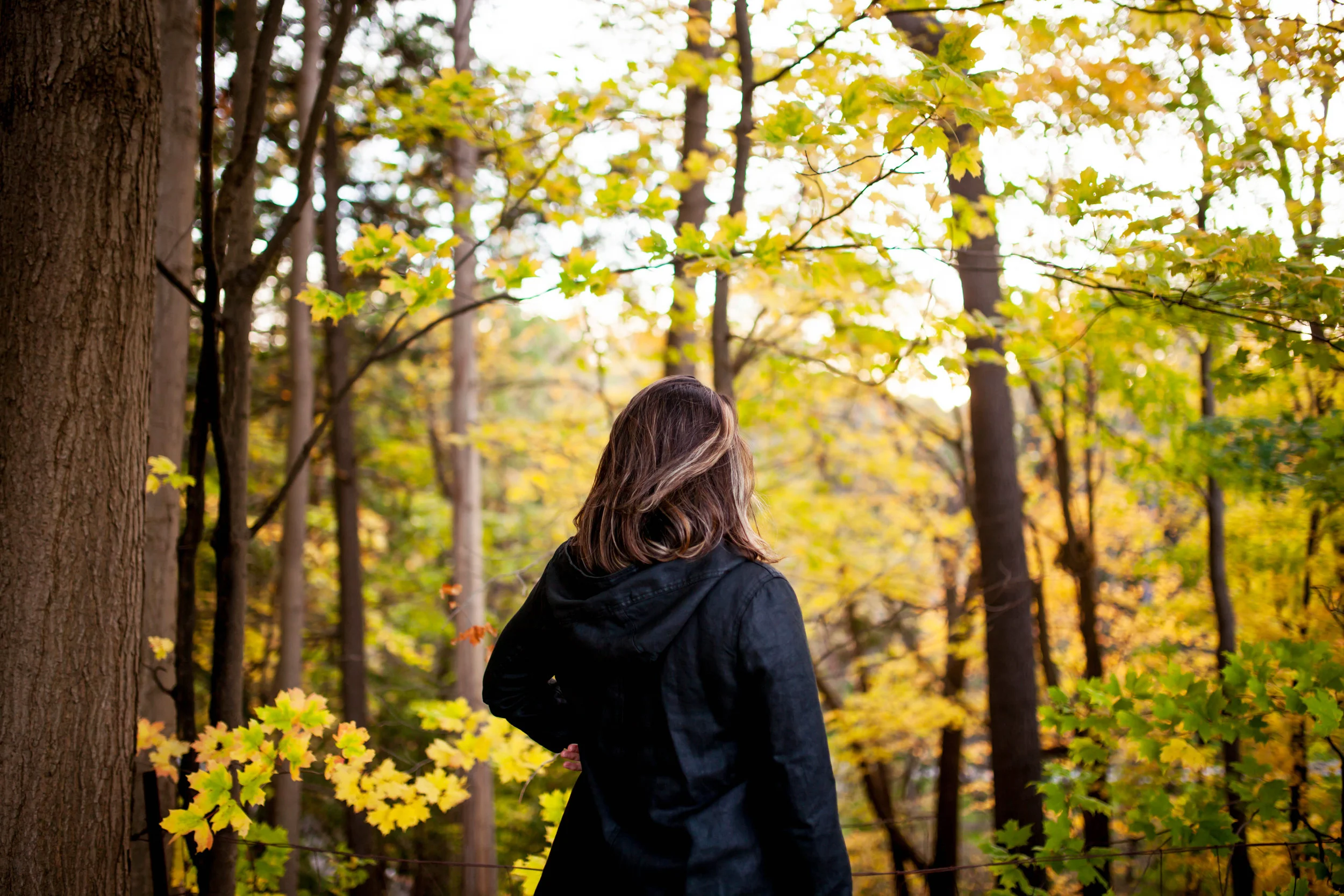 architect toronto kma Edwards gardens portraits design photography photographer landscape Costa Rican Canada residential architecture award winning