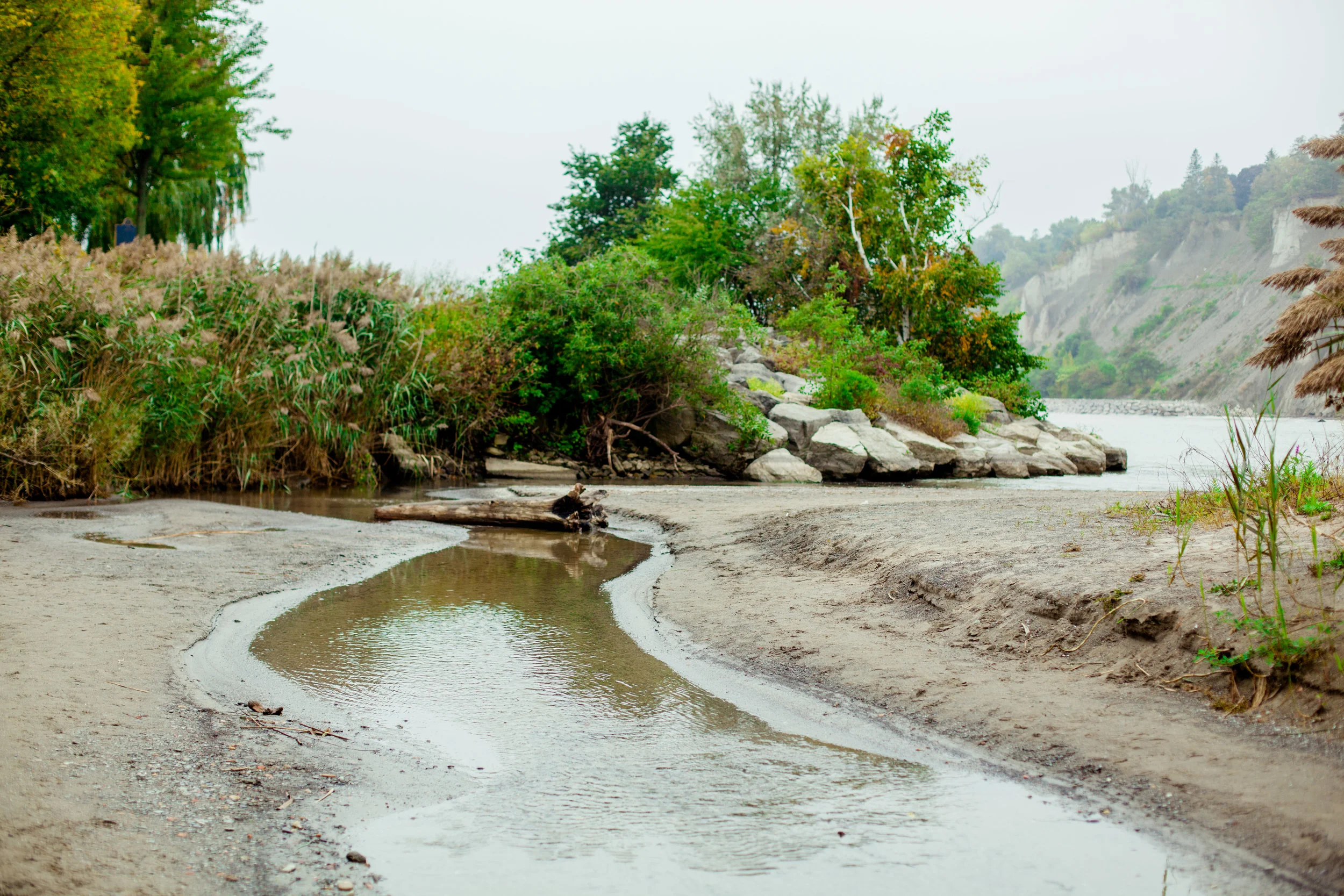 Scarborough Bluffs Toronto Blogger Architecture Ontario Nature Blogs After 50 years old greenery Canada Geese