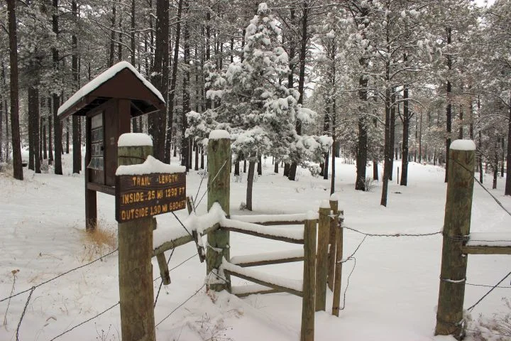 Cedar Creek Winter.jpg
