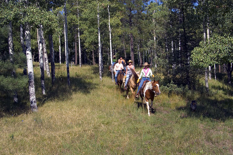 Horseback-Riding-019-800x600.jpg