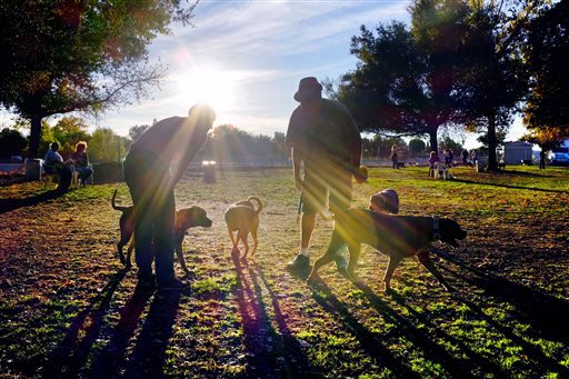 Ruidoso Dog Park