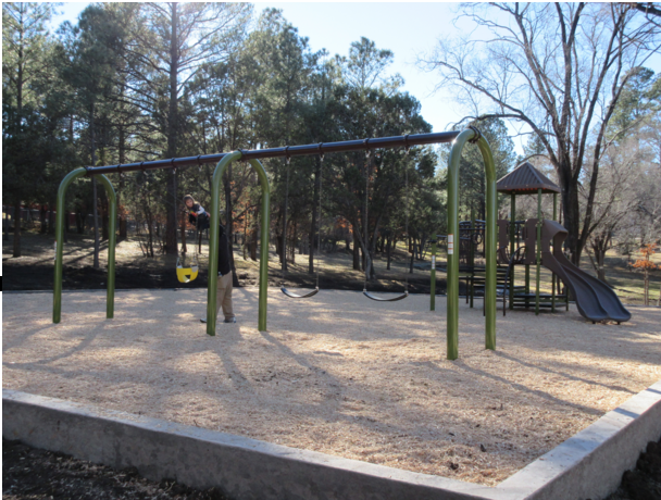 Carsons Corner Playground Wingfield Park.png